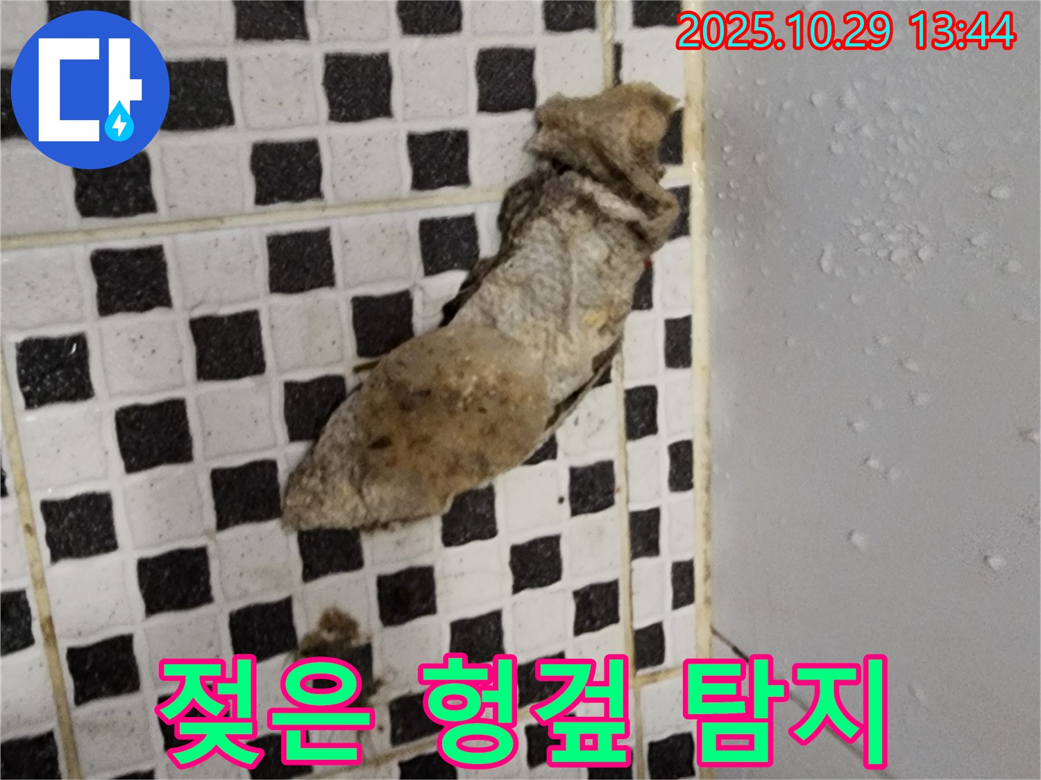양주시 산북동 누수 현장 - 젖은 헝겊 발견, 꼼꼼한 탐지로 누수 해결