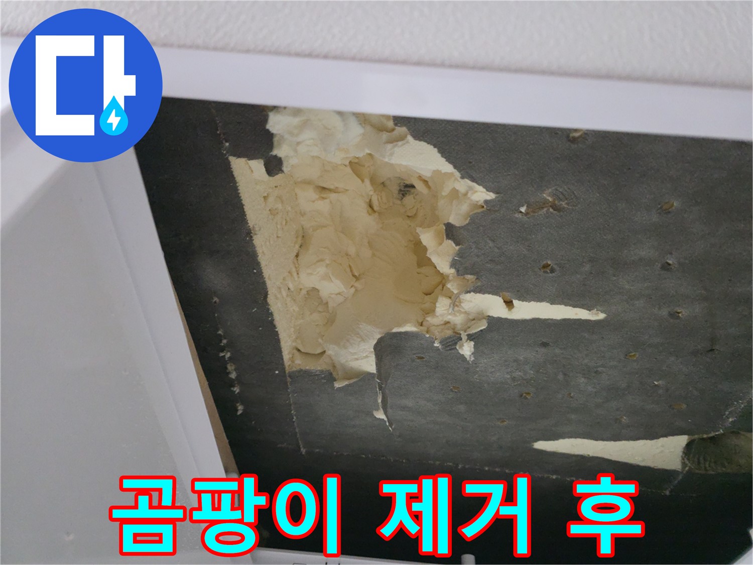 곰팡이 핀 천장 단열재 제거 - 건강한 공간으로
