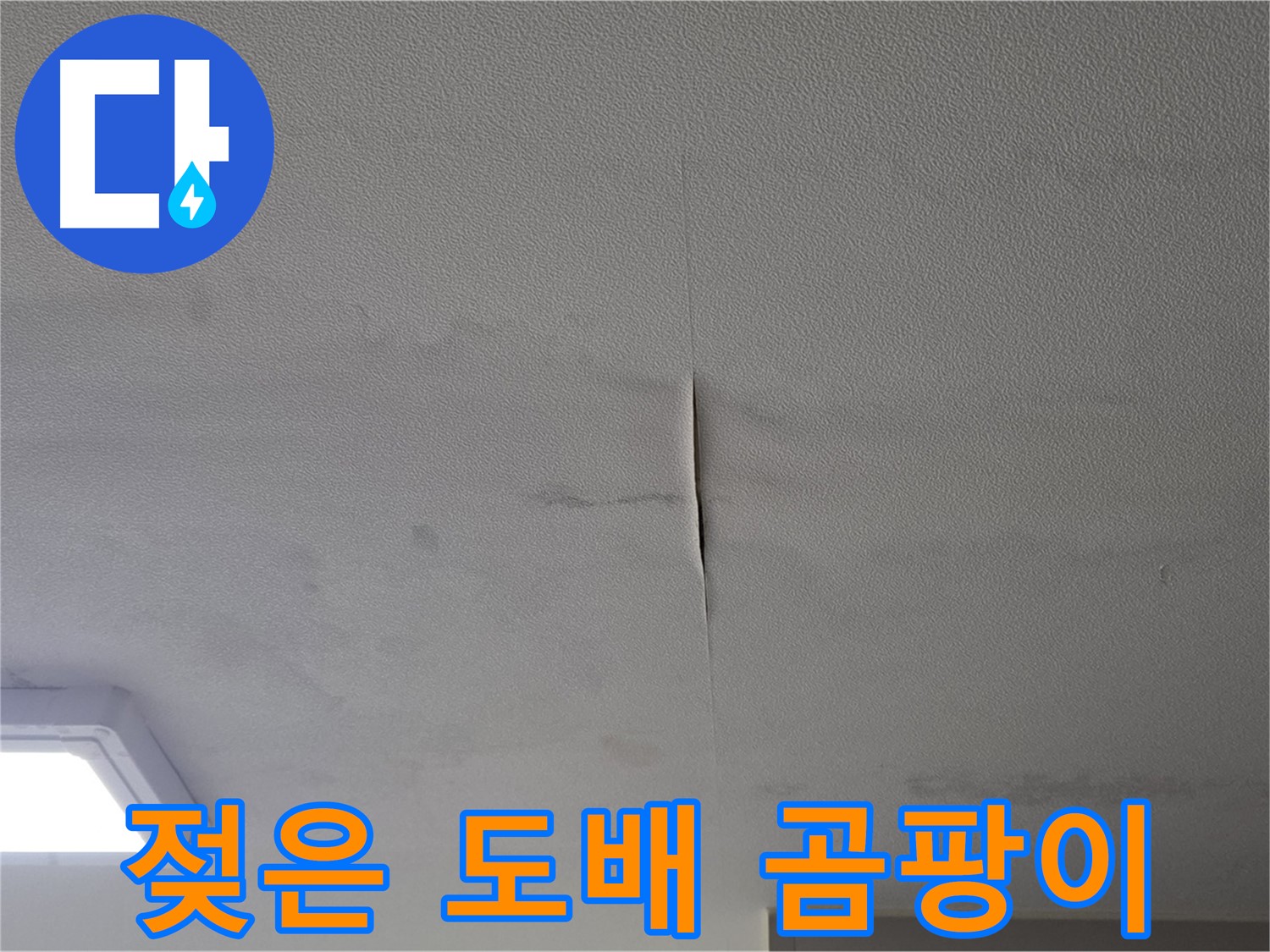 천장 누수 - 젖은 도배와 곰팡이 초기 증상