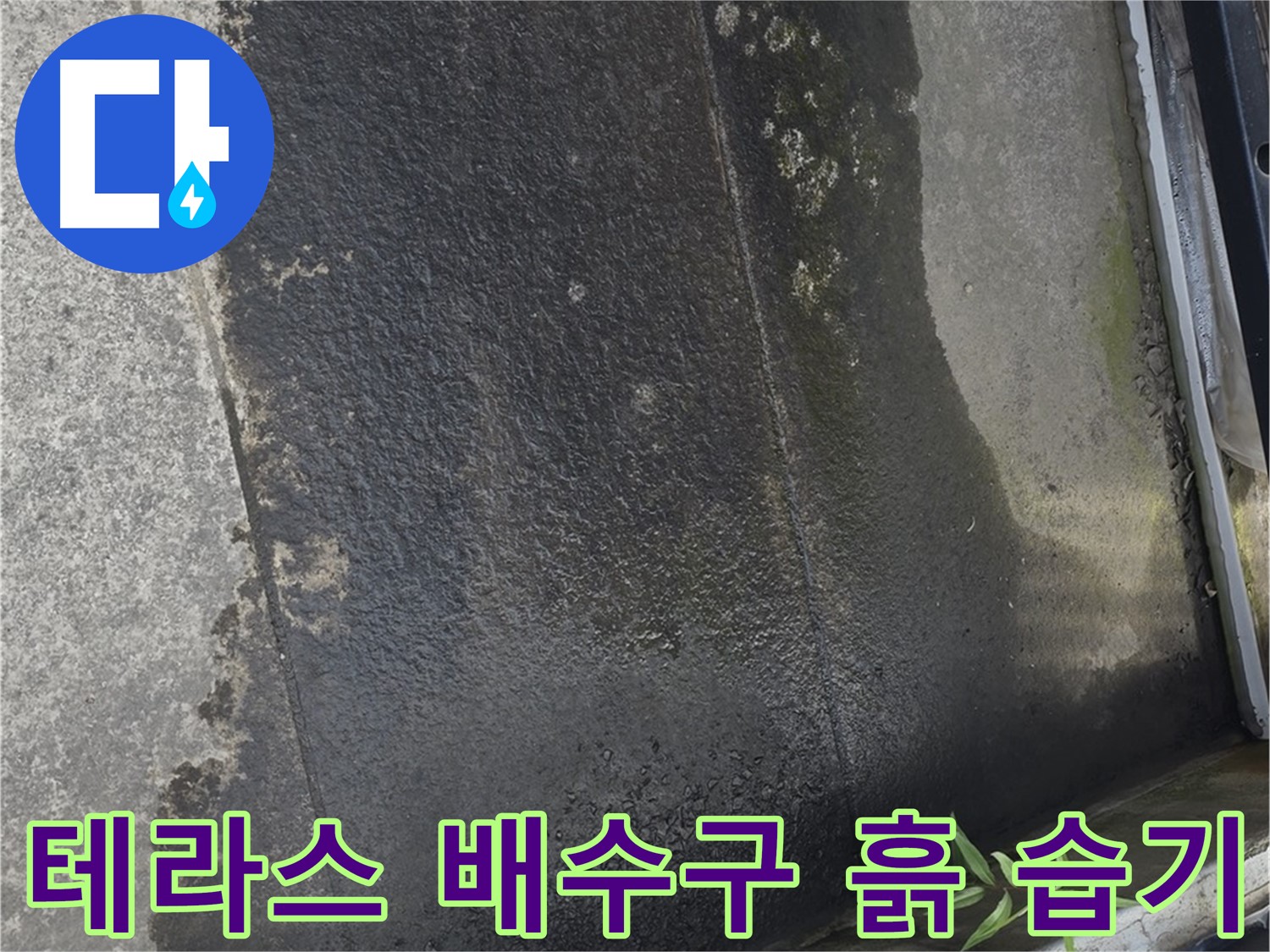 테라스 배수구 주변의 흙과 습기 - 배수 불량 및 누수 가능성
