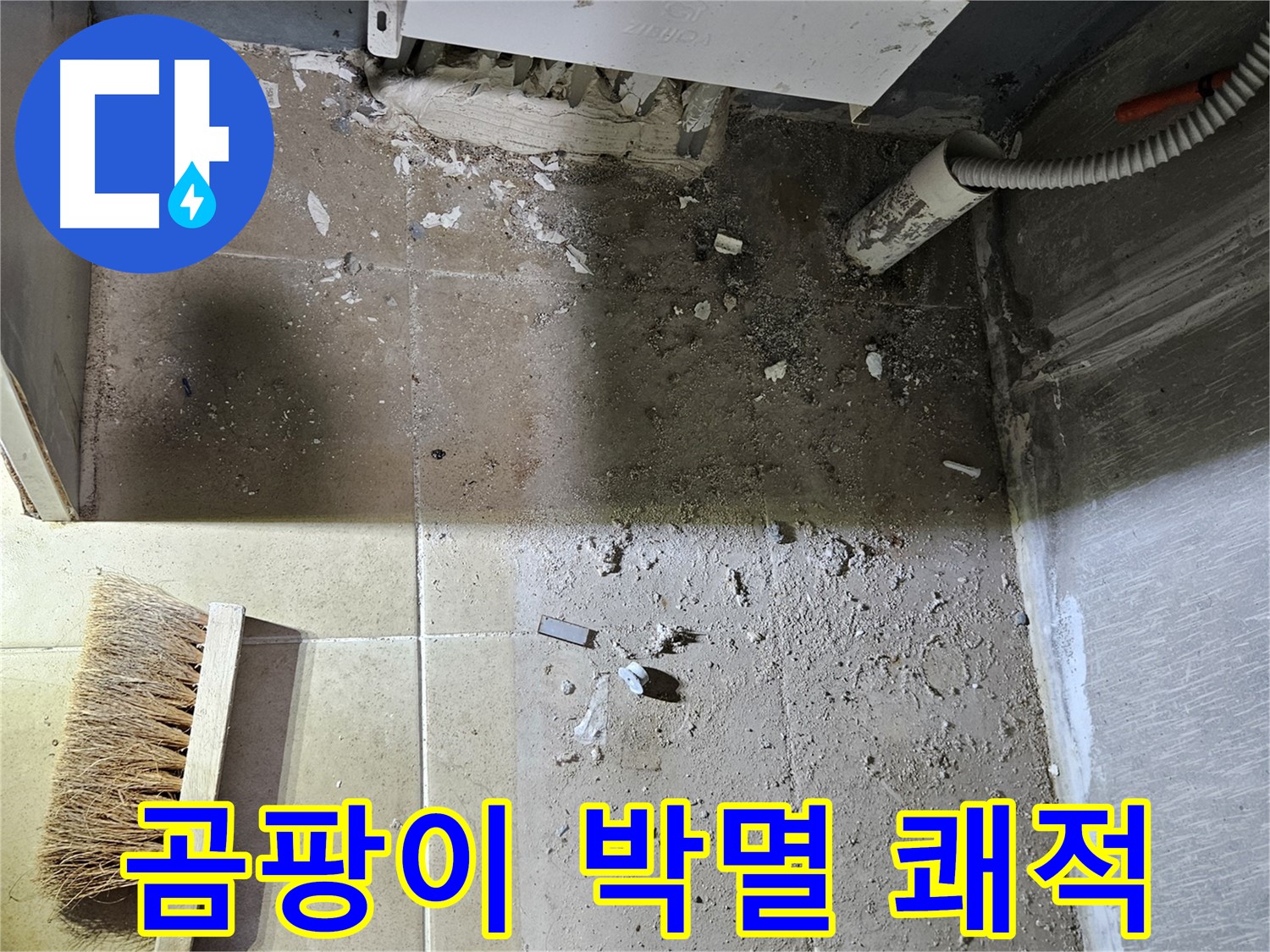 양평 용문면 누수 - 곰팡이 완전 박멸 - 쾌적한 공간 되찾기 성공!