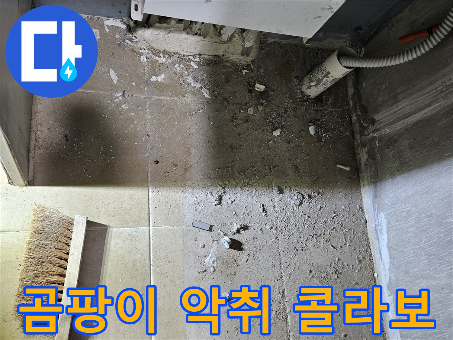 양평 용문면 어수리 누수 - 곰팡이와 악취의 콜라보 - 청소 절실