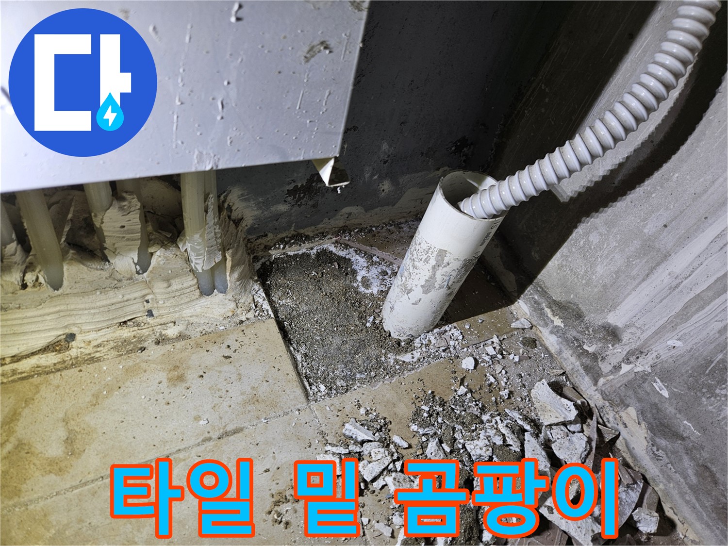 양평 용문면 어수리 누수 - 타일 밑 곰팡이 - 숨겨진 누수의 증거