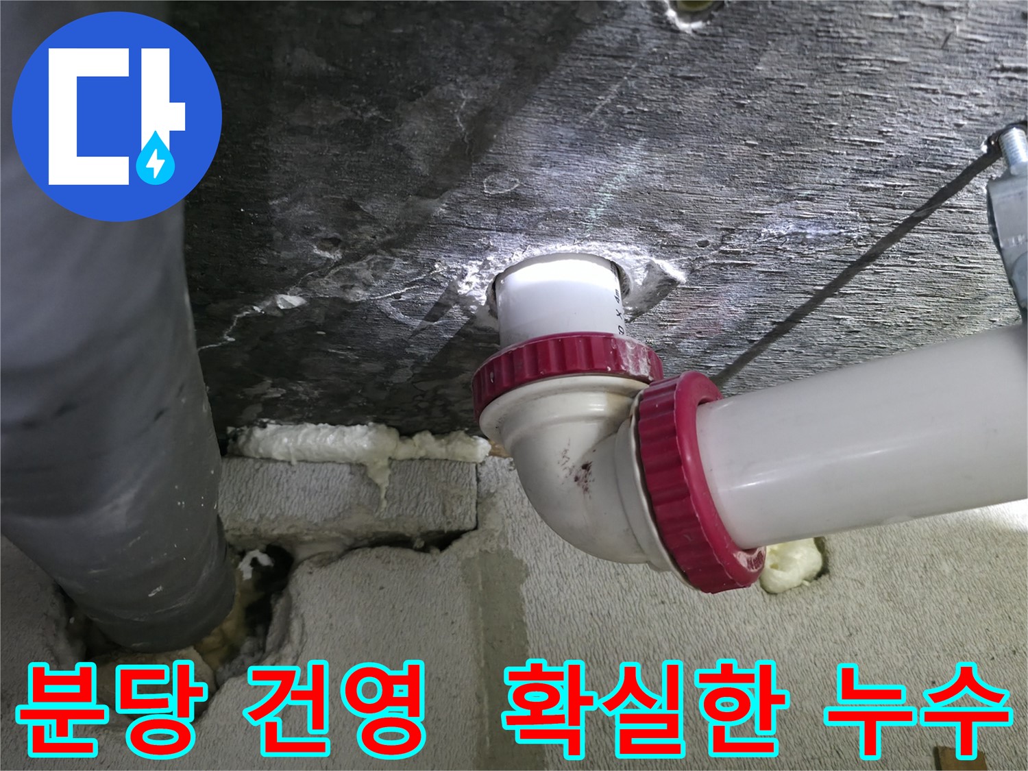 누수 탐지부터 공사까지 - 원스톱 서비스와 합리적인 가격