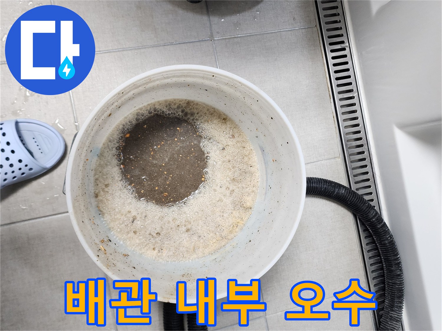 양동이에 담긴 거품 섞인 탁한 물과 흡입 호스 장비
