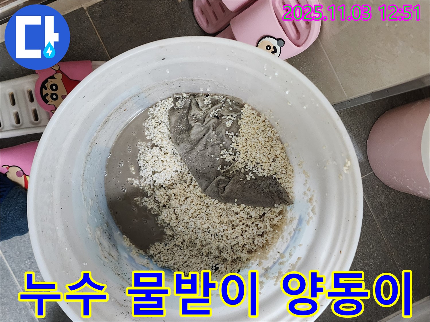 양주 옥정동 누수 현장 - 누수로 인해 물이 떨어진 양동이 - 긴급 상황을 보여줍니다.