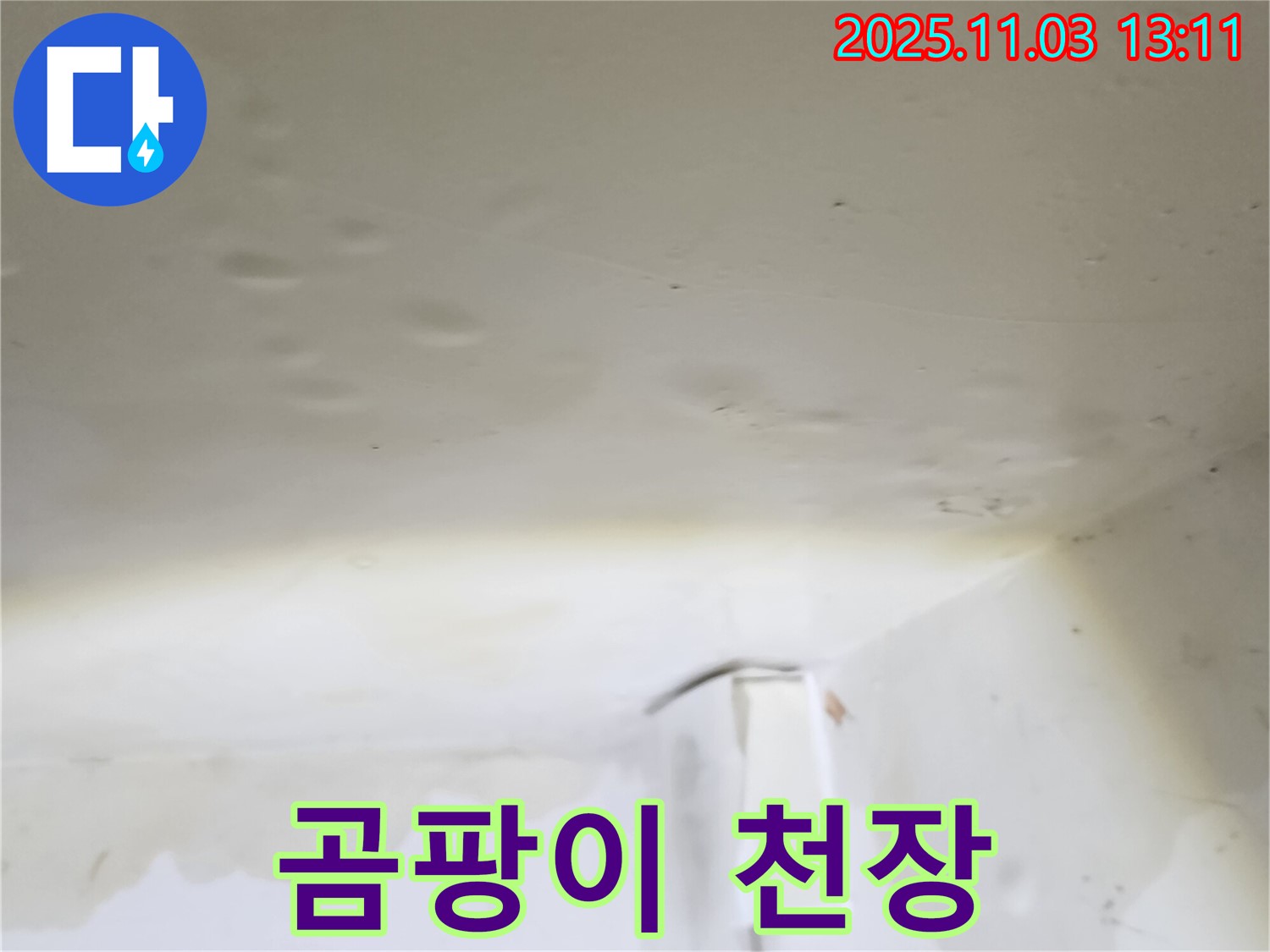 양주시 옥정동 천장 누수 - 곰팡이 핀 천장은 건강을 위협합니다.