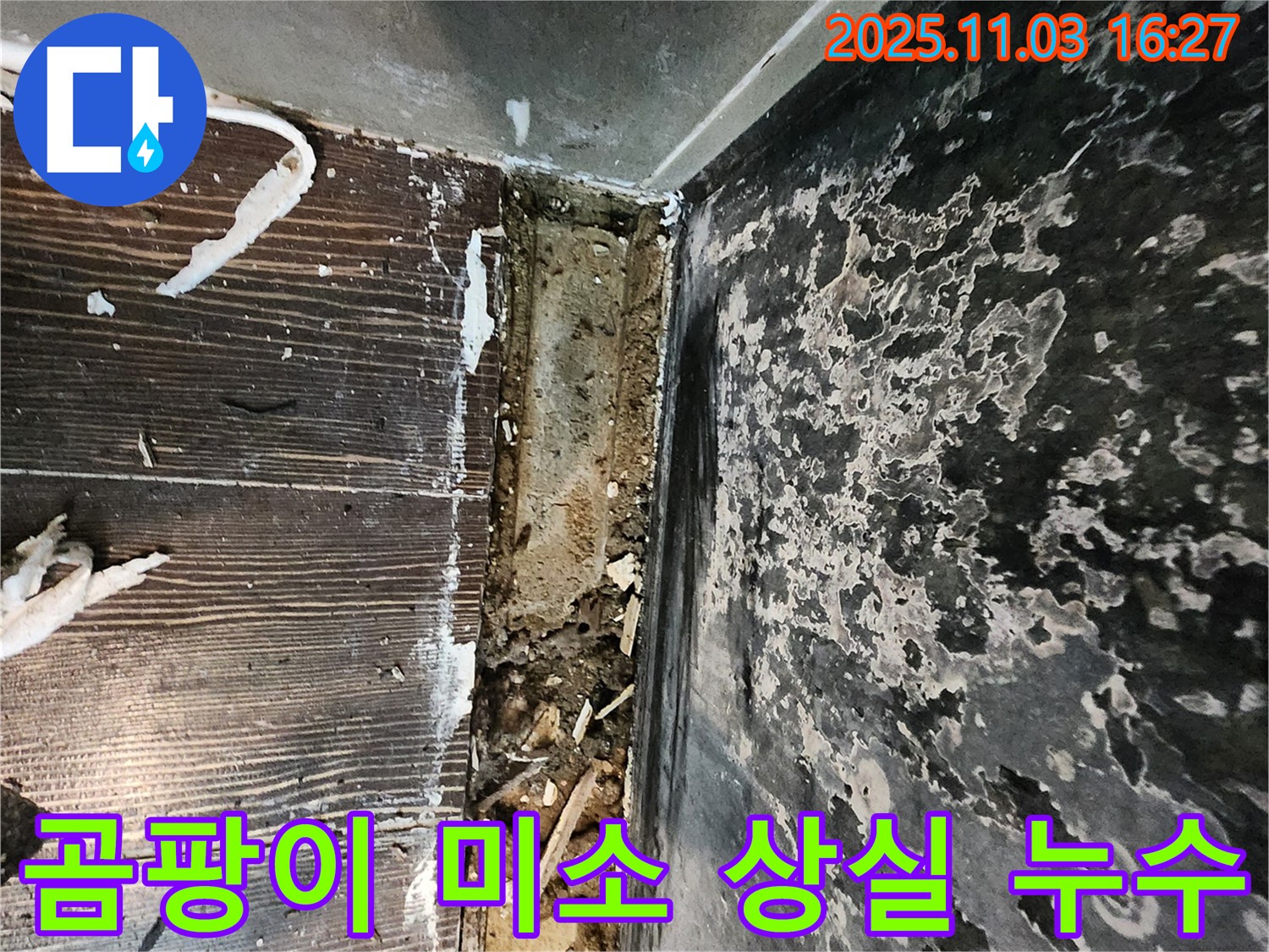 삼숭동 누수 - 곰팡이와 함께 잃어버린 미소, 긴급 미소 되찾기 프로젝트!