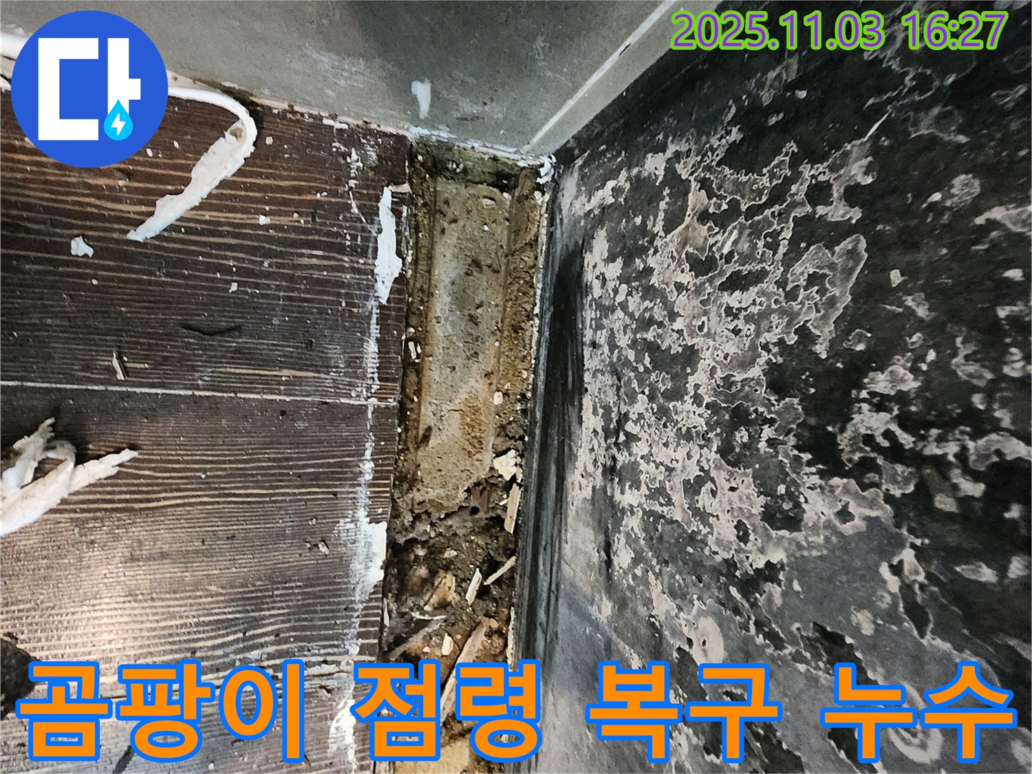 양주시 삼숭동 누수 - 누수로 인한 곰팡이 점령! 긴급 복구 대작전을 개시합니다!