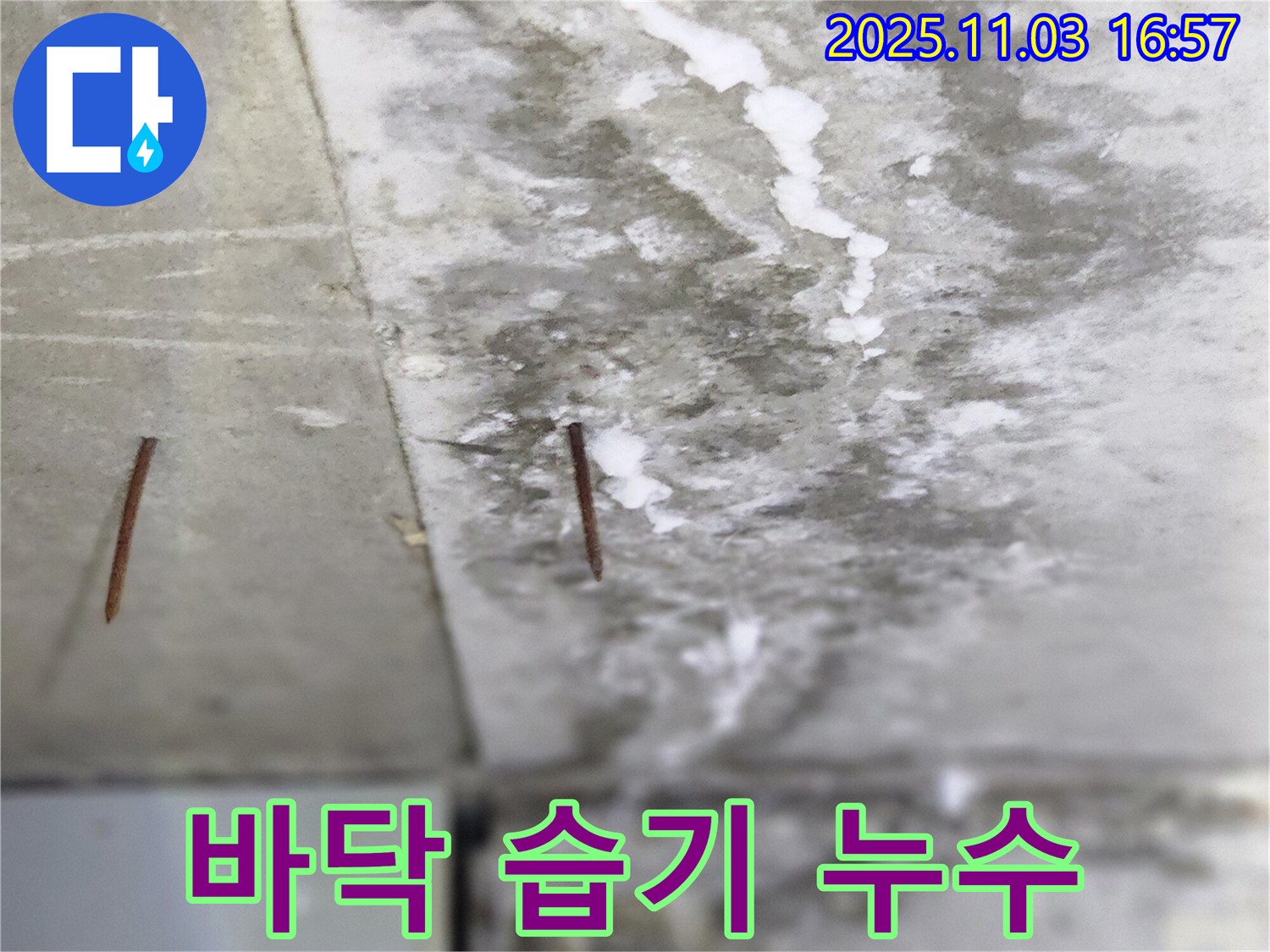 양주시 삼숭동 누수 현장 - 바닥에 습기가 차고 못이 솟아오른 모습은 숨겨진 누수를 나타냅니다.