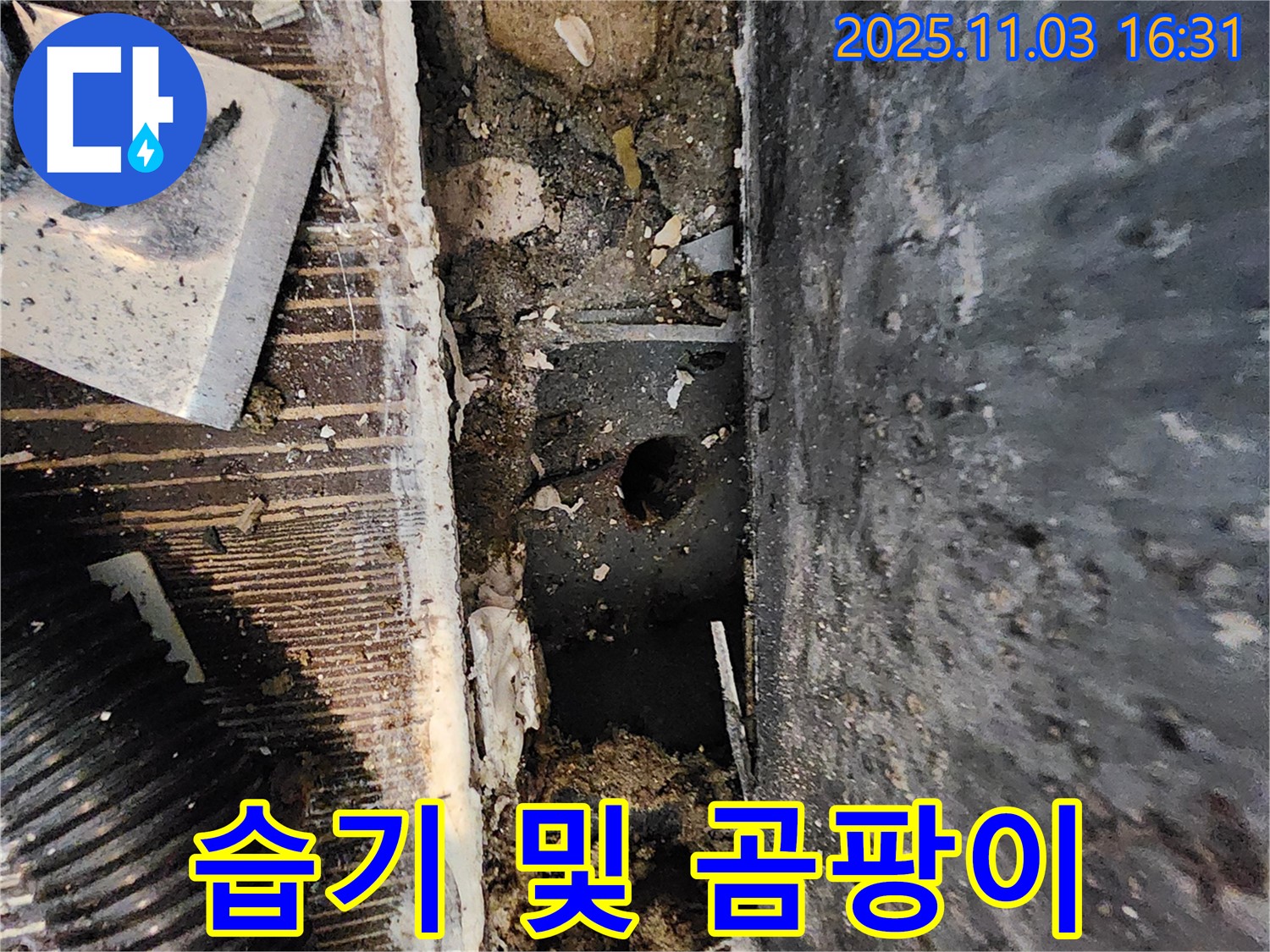 양주시 삼숭동 누수 현장 - 습기와 곰팡이가 누수 발생 지점을 알려주는 중요한 단서입니다.