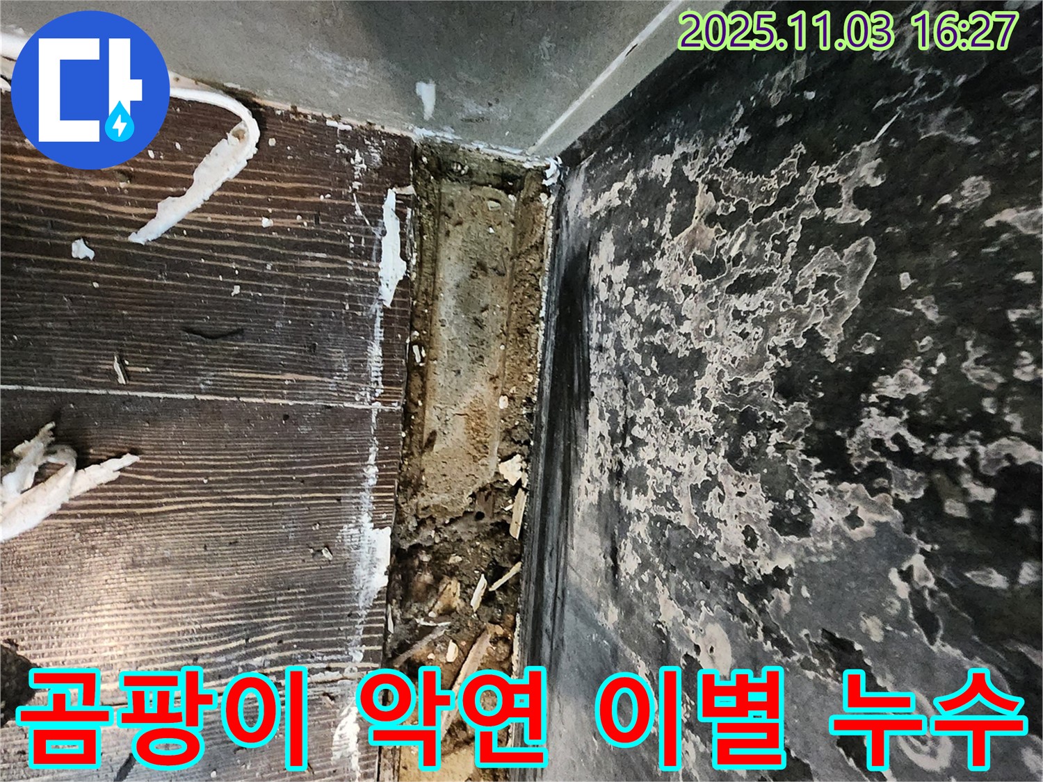 양주시 은현면 누수 - 곰팡이와의 악연을 끊고, 누수와의 이별을 준비하세요!
