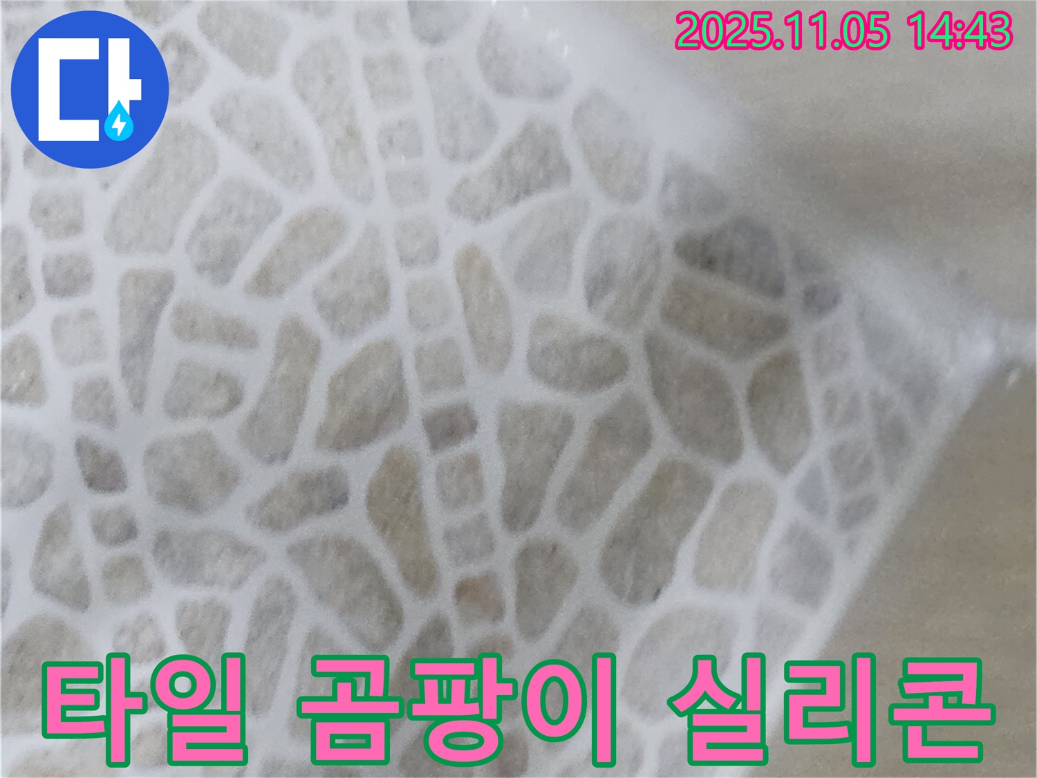 화장실 타일 사이 곰팡이 - 누수 의심! 실리콘 점검으로 문제 해결 - 건강하고 쾌적한 욕실 유지