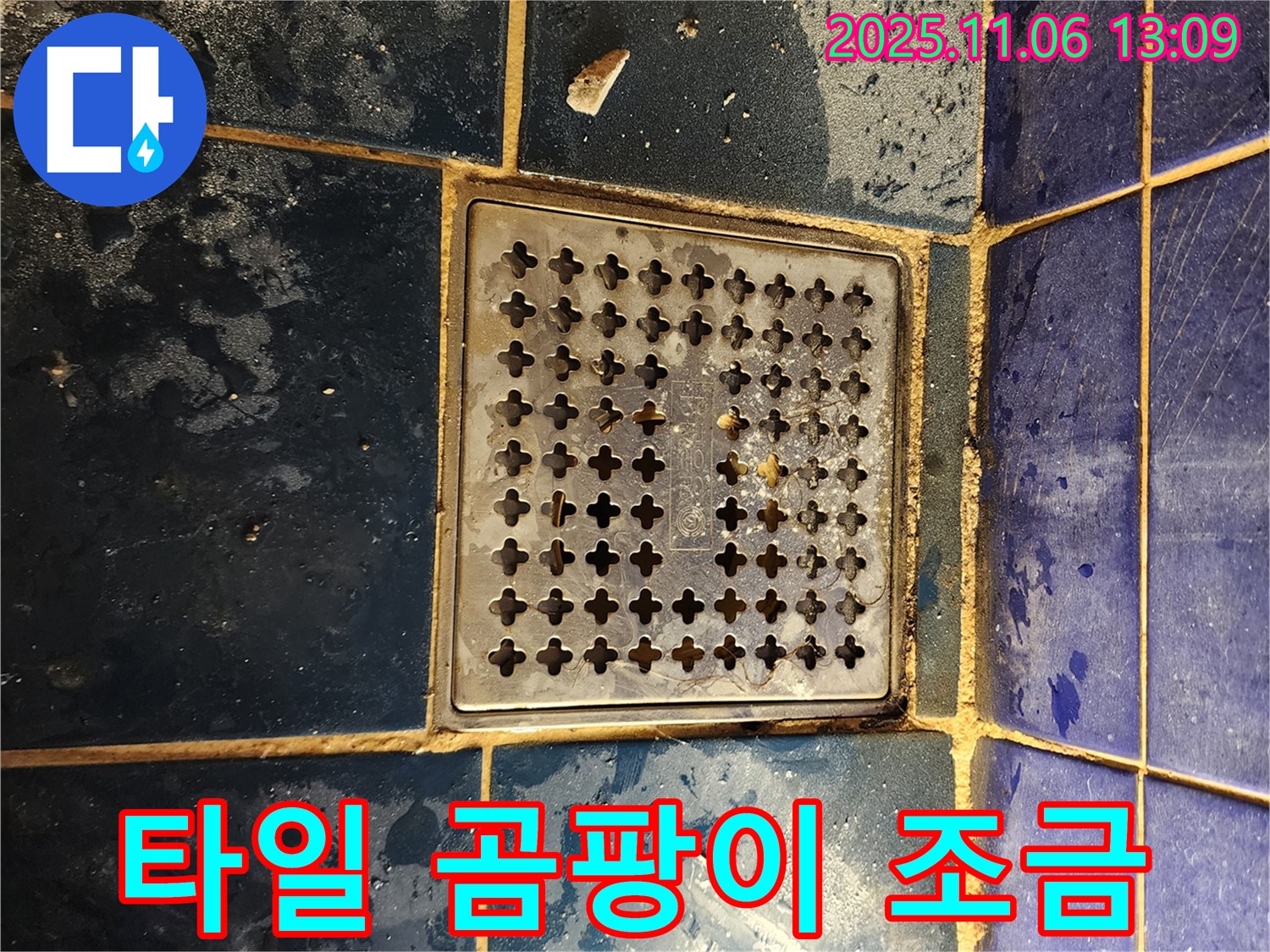 고모리 누수 - 욕실 배수구 주변 타일 틈새 곰팡이 아주 조금 발생