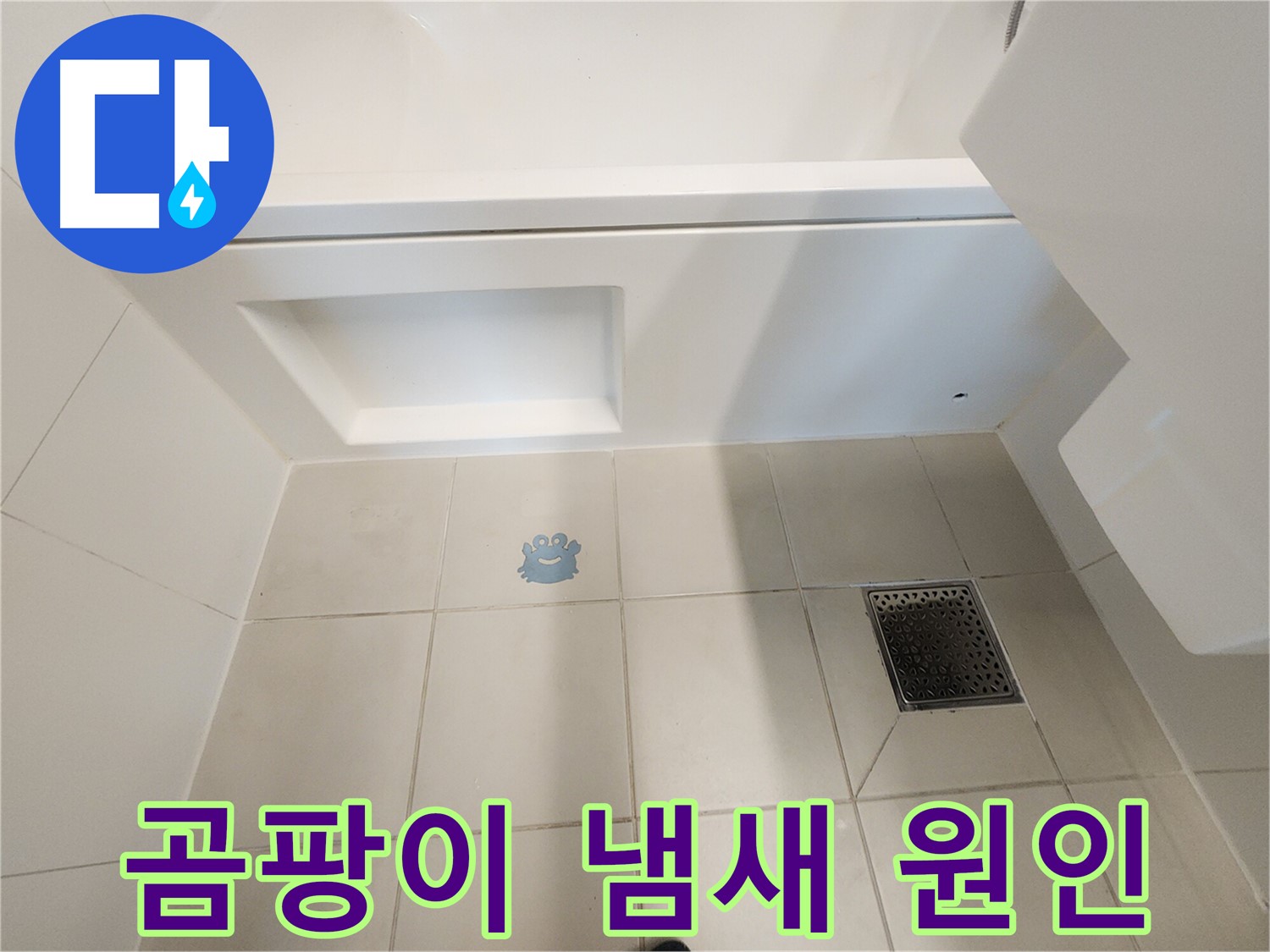 곰팡이 냄새의 원인 - 숨겨진 누수를 찾아 해결.