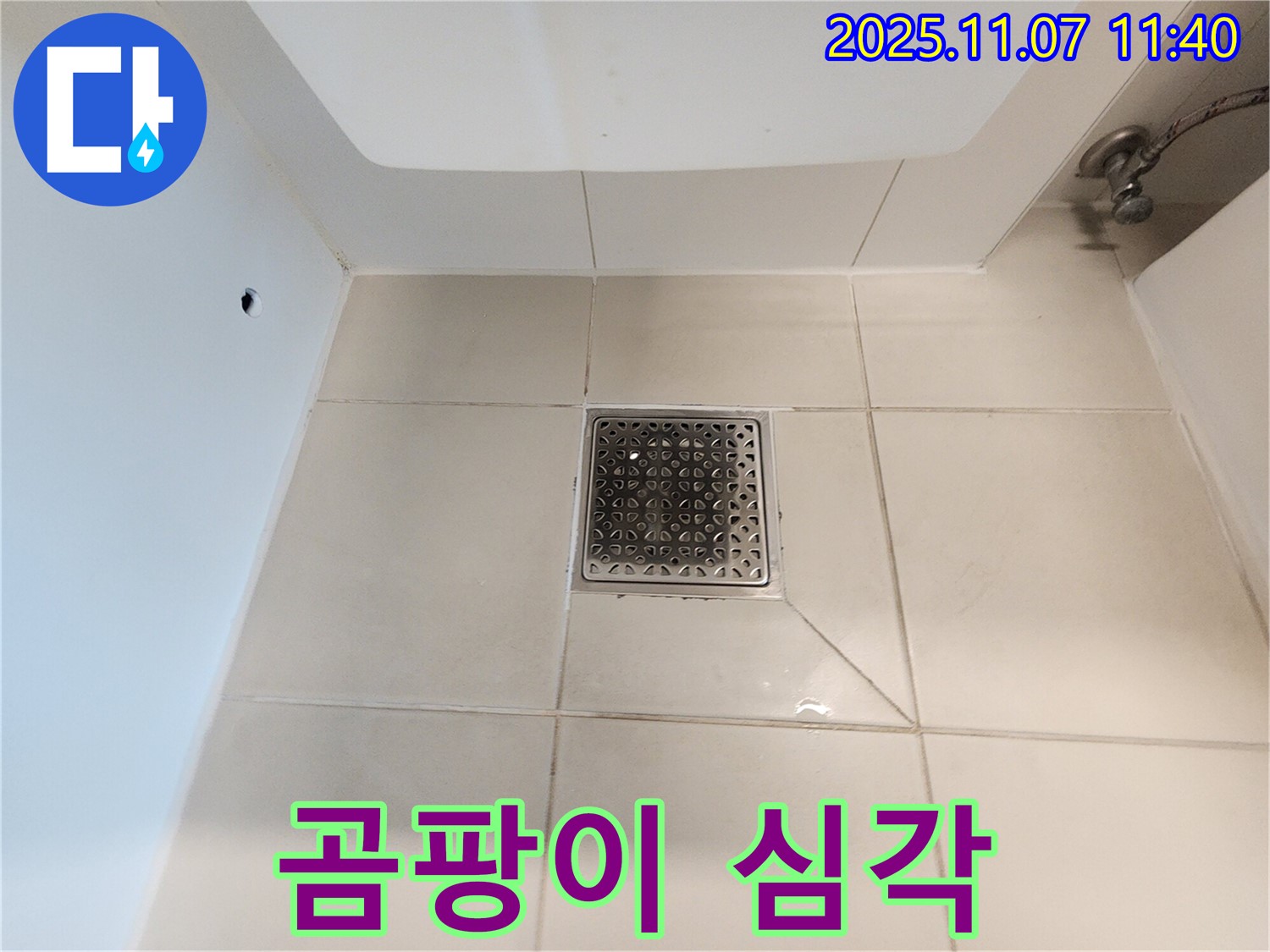 사우동 욕실 배수구 - 곰팡이가 심각한 경우 누수 원인을 제거하고 방수 시공을 해야 합니다.