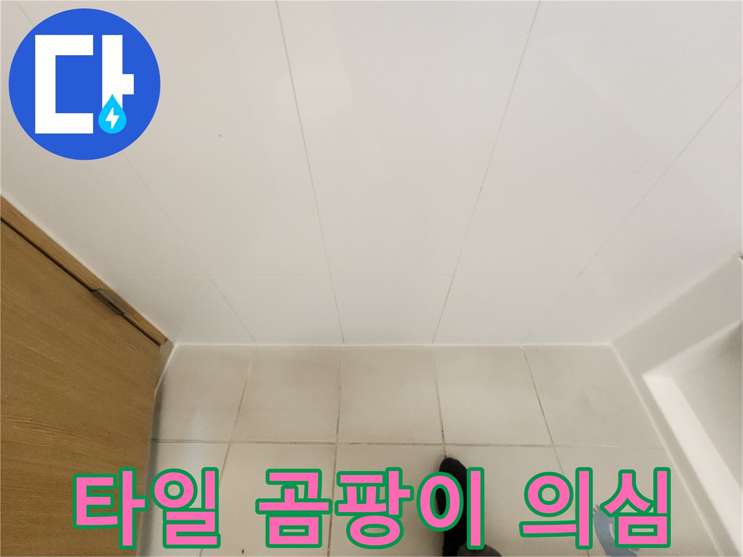 화장실 타일 - 틈새 검은 곰팡이 - 누수 가능성 점검