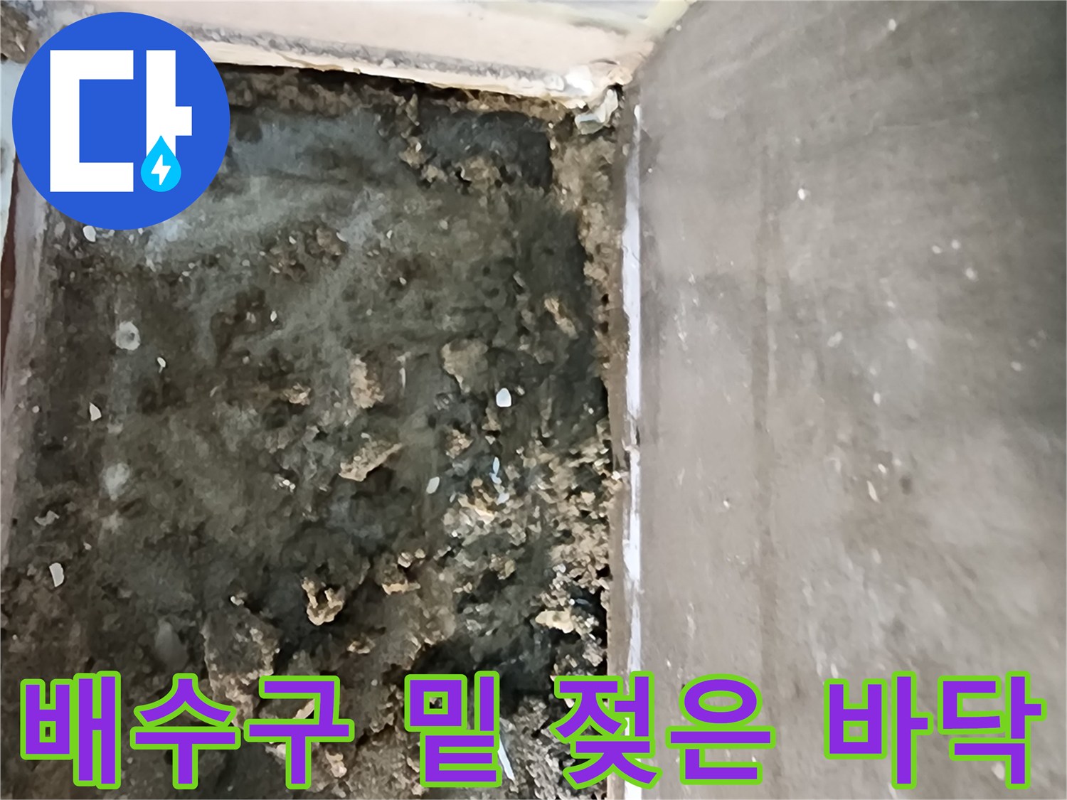 신곡동-샤워실-바닥-배수구-주변-침수된-내부-현장