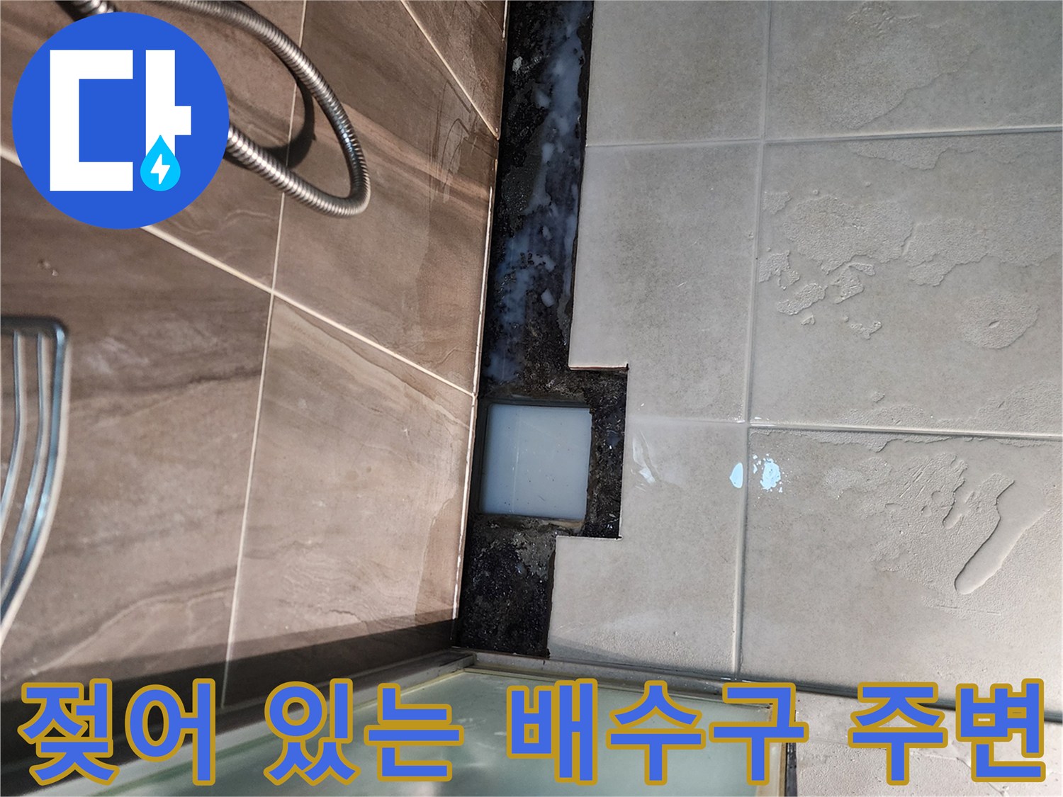 의정부신곡동-샤워실-배수구주변-습기상태