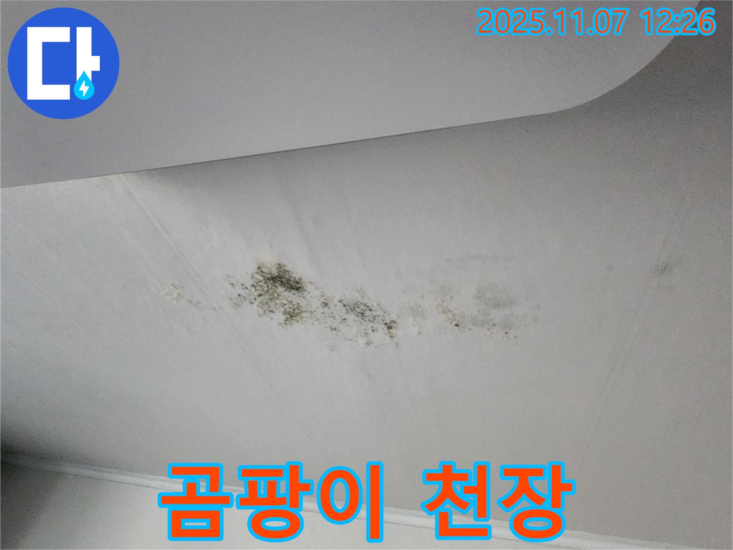 송산동 곰팡이 핀 천장 - 누수 흔적과 곰팡이