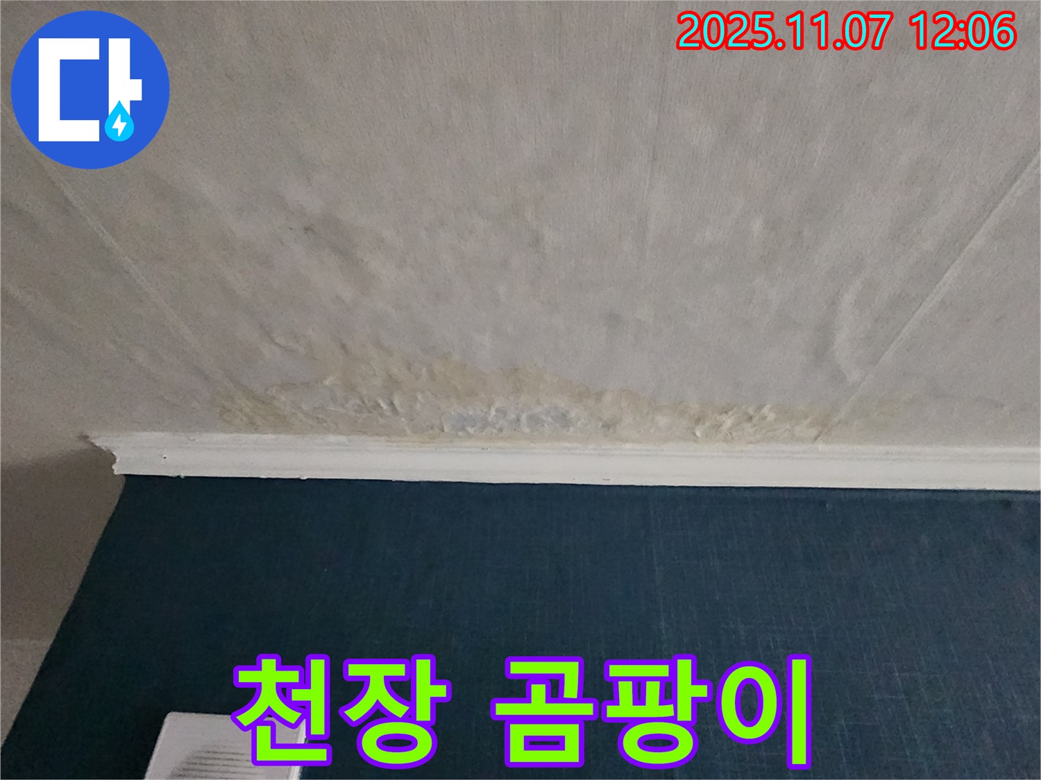 의정부 송산동 천장 누수 - 누수로 인해 발생한 곰팡이가 천장 벽지에 퍼져 있습니다.