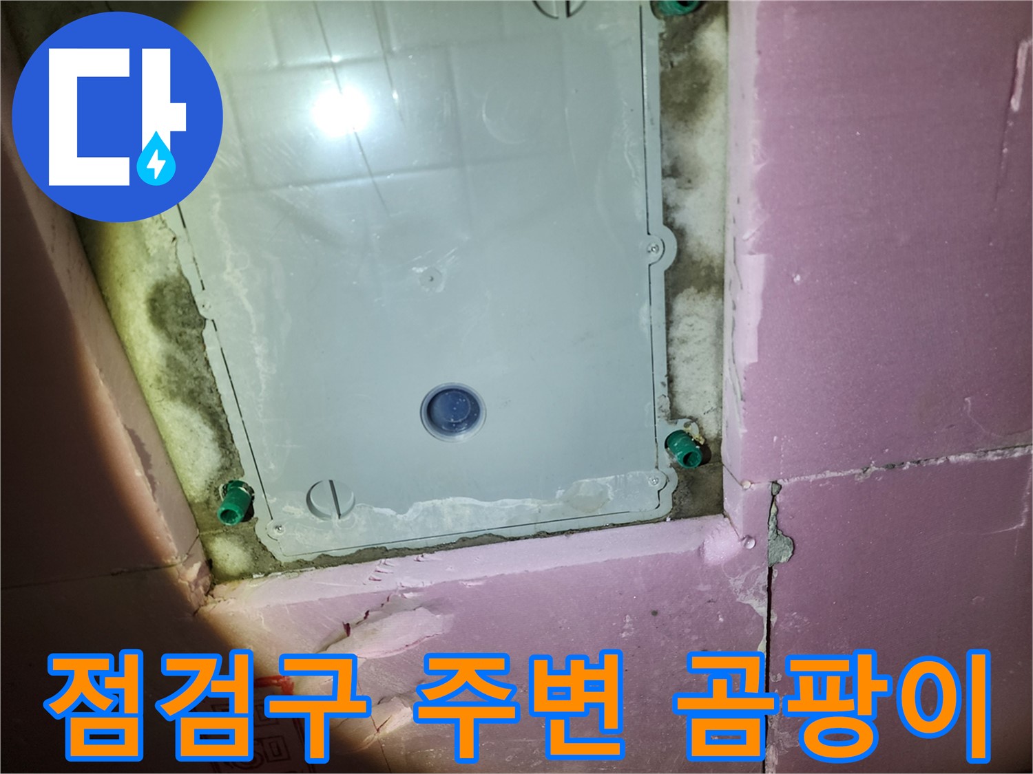 계양구 작전동 욕실 - 천장 점검구 주변 곰팡이