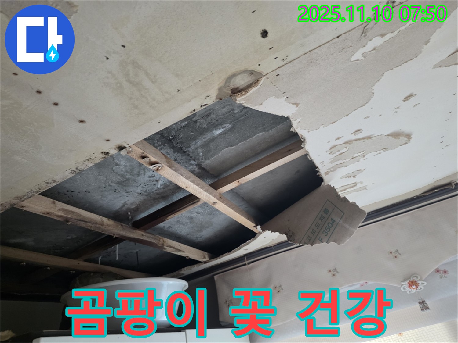 안양 초원맨션 누수 - 석고보드에 곰팡이가 핀 모습 - 건강에 매우 해롭습니다.