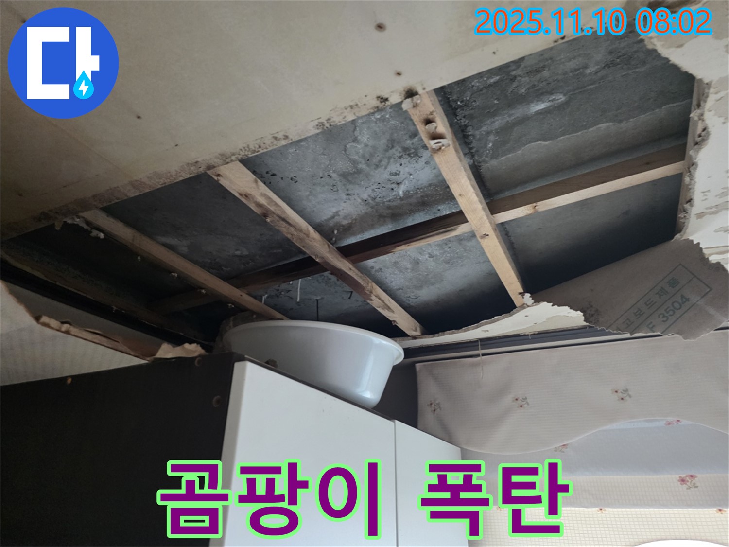 초원맨션 천장 누수 - 천장 속 곰팡이가 폭탄처럼 번졌습니다 - 안양 누수가 긴급 습기 제거 & 원인 해결에 나섭니다.