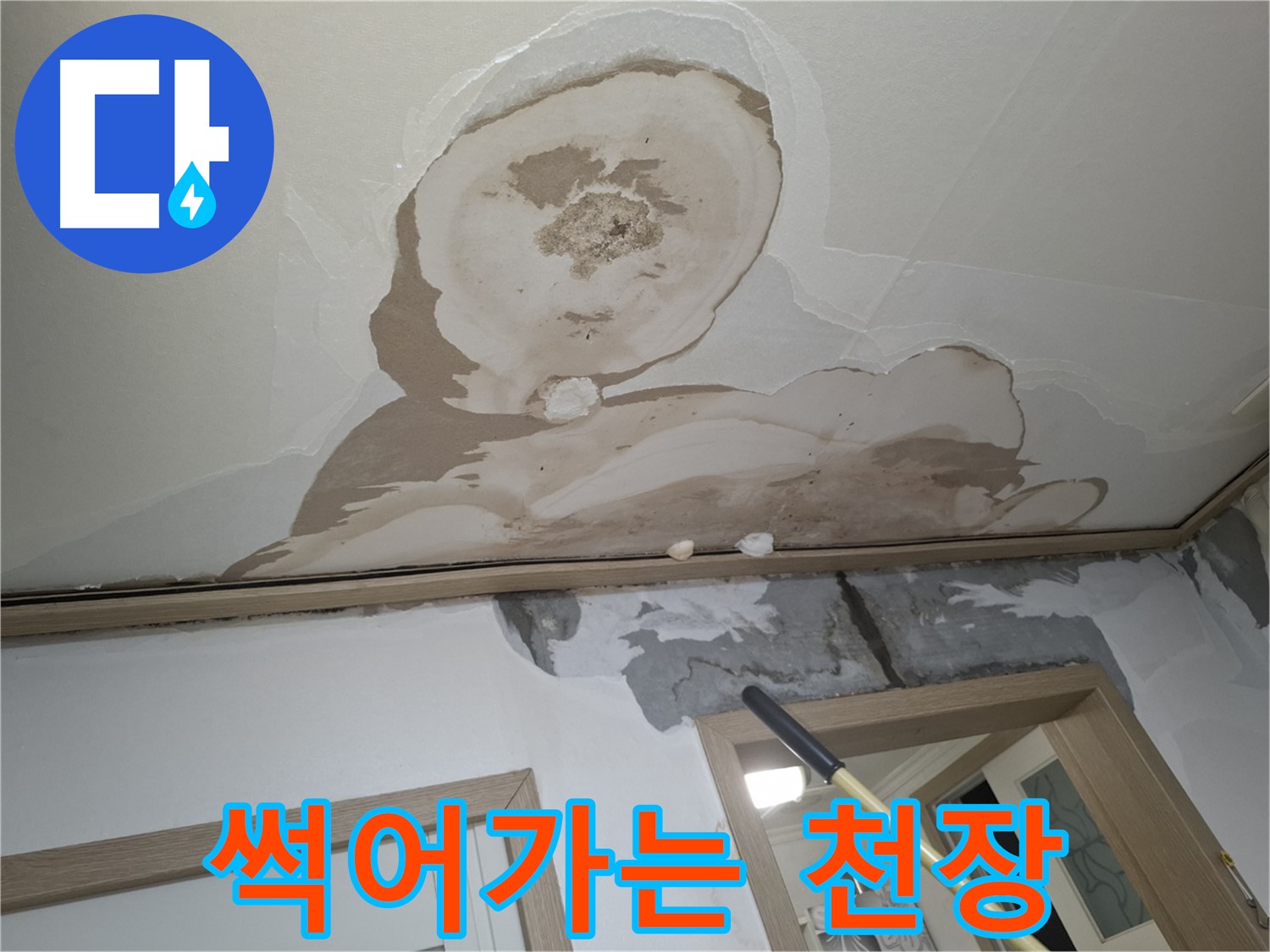 곰팡이 습격 - 썩어가는 천장, 응급 수술이 필요합니다.