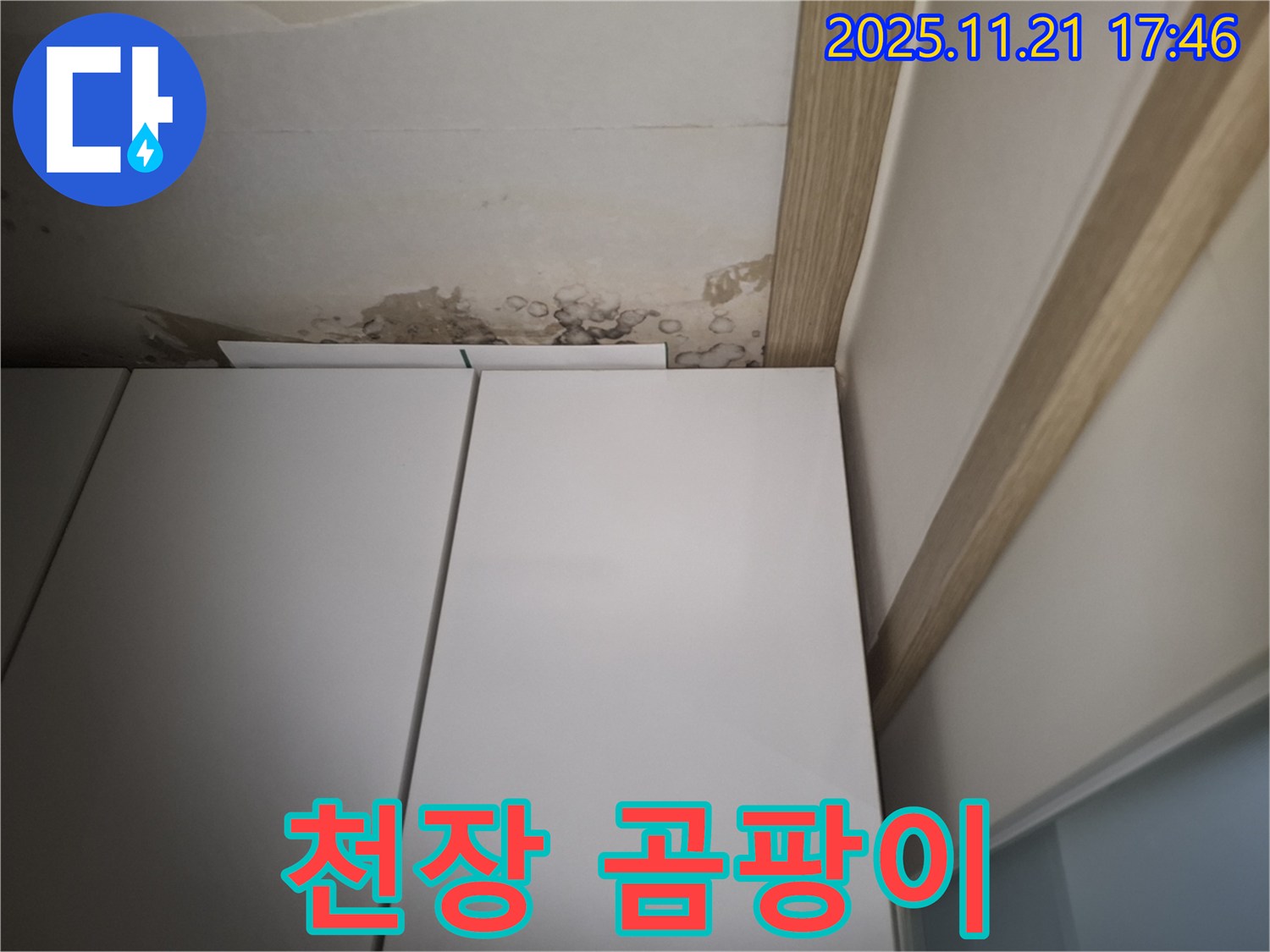 관악구 천장 곰팡이 - 누수 원인 차단 및 곰팡이 제거 시급
