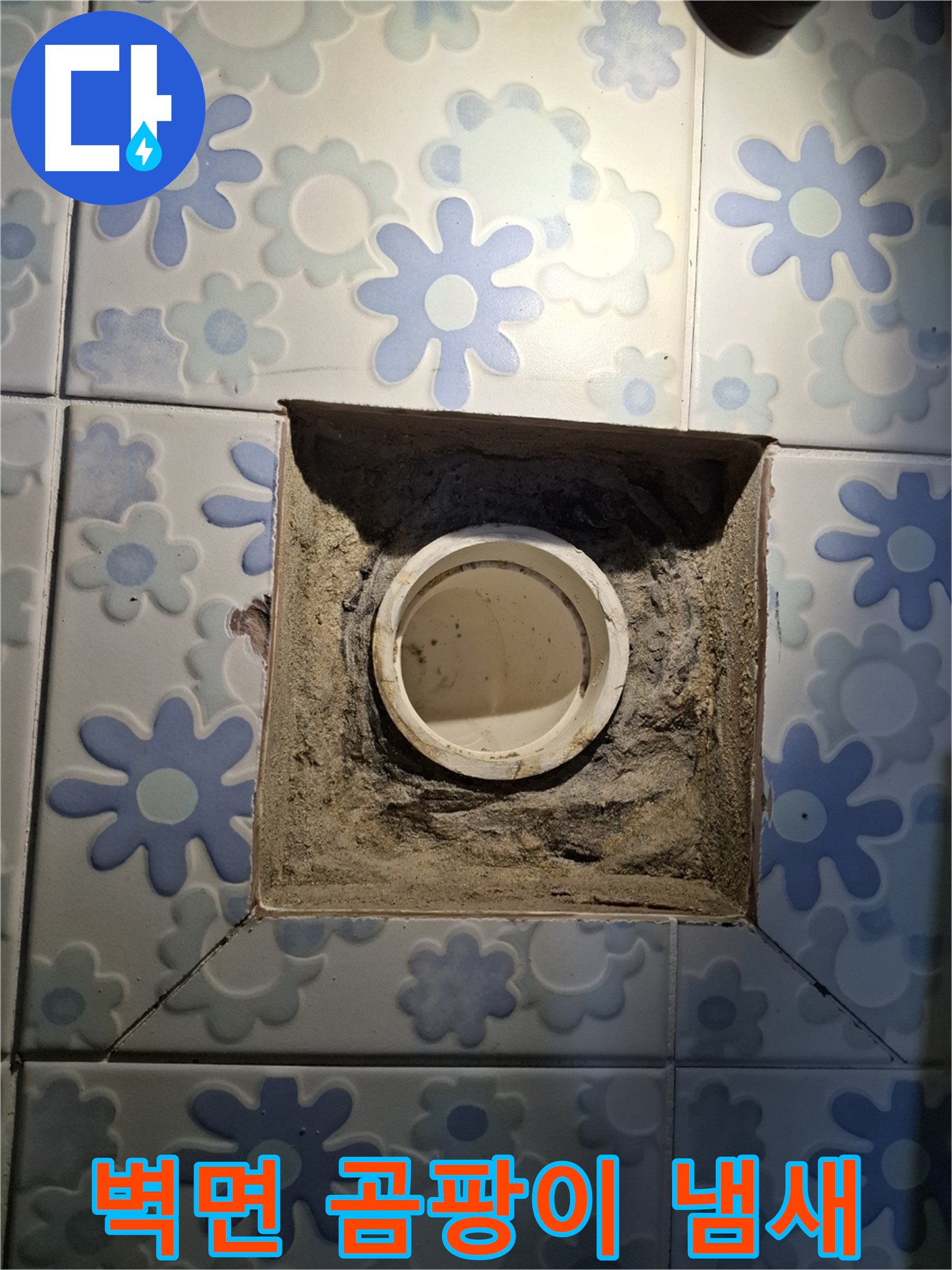 배관 주변 벽면 곰팡이 냄새 확인 - 곰팡이 서식 환경 점검