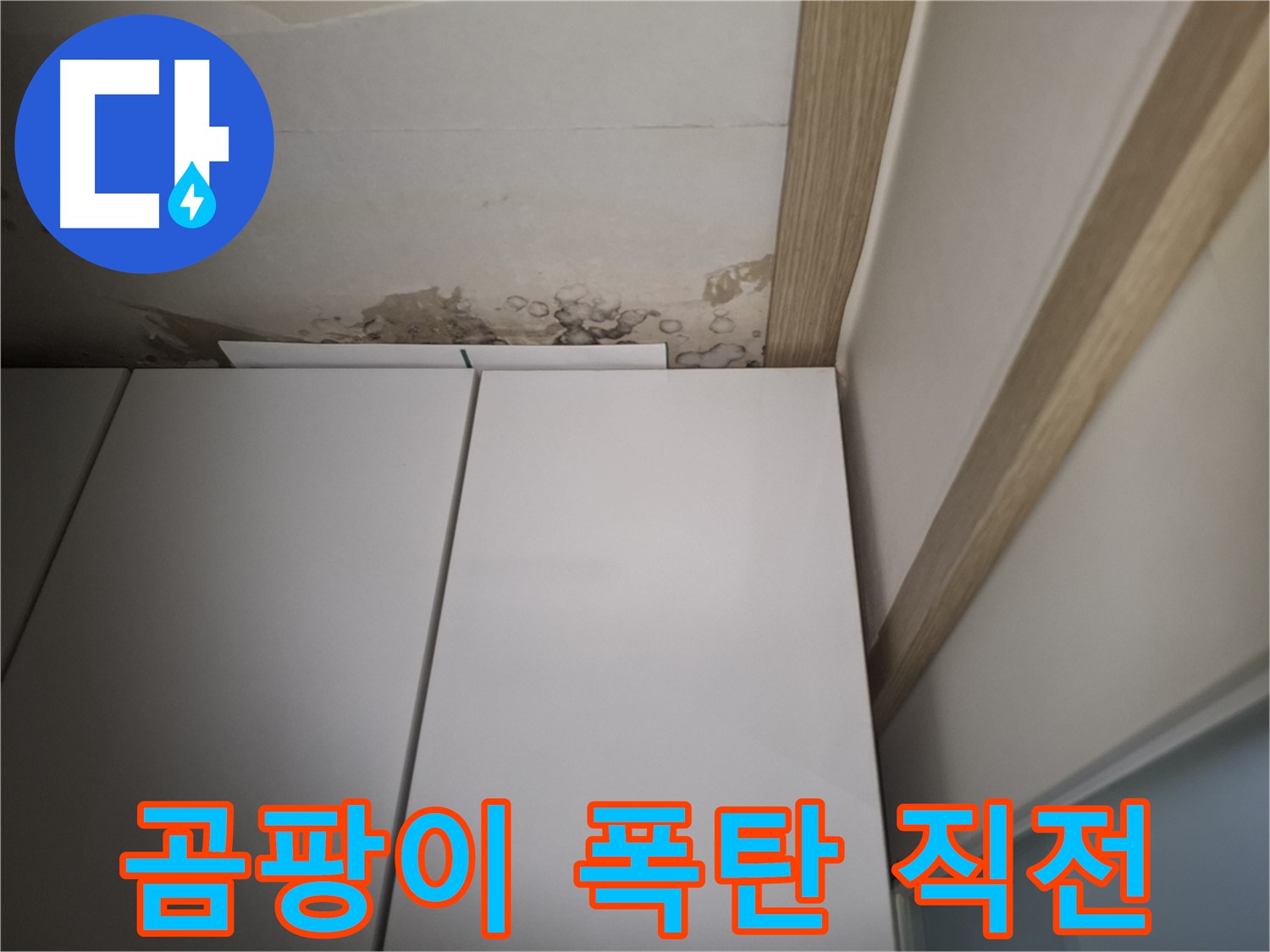 붙박이장 위 천장에 곰팡이가 심각하게 번지기 직전의 모습 - 즉시 조치가 필요합니다.