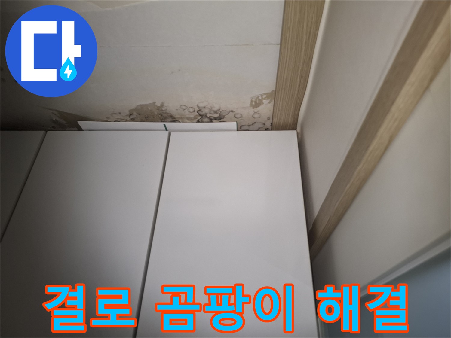 겨울철 결로로 인한 곰팡이 발생 문제 해결 - 쾌적한 환경을 만들어 드립니다.