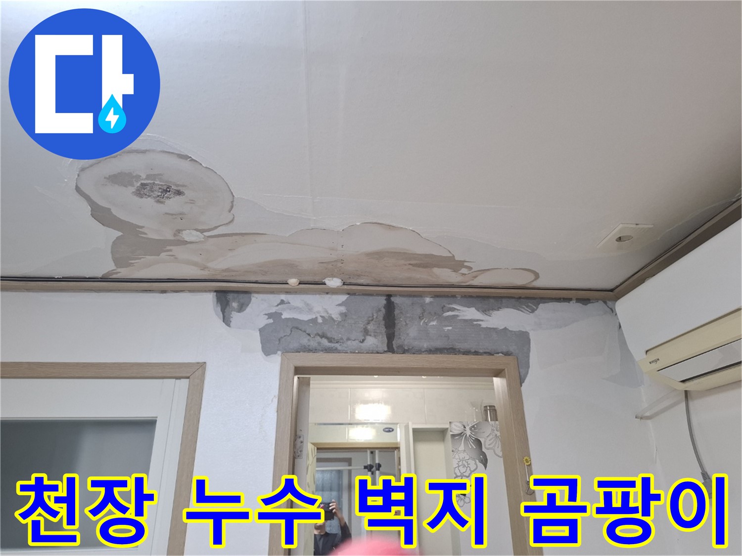 심각한 천장 누수 - 젖은 벽지와 곰팡이