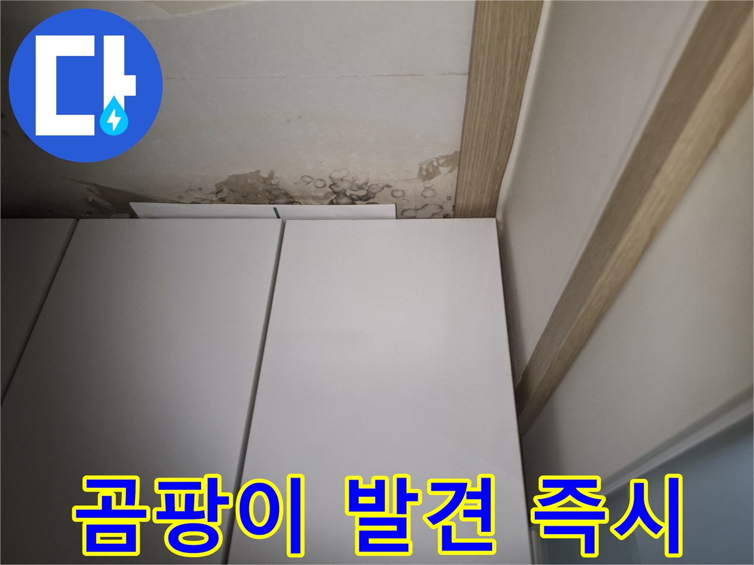 싱크대 위 천장에서 곰팡이가 발견된 모습 - 누수를 의심해야 합니다.