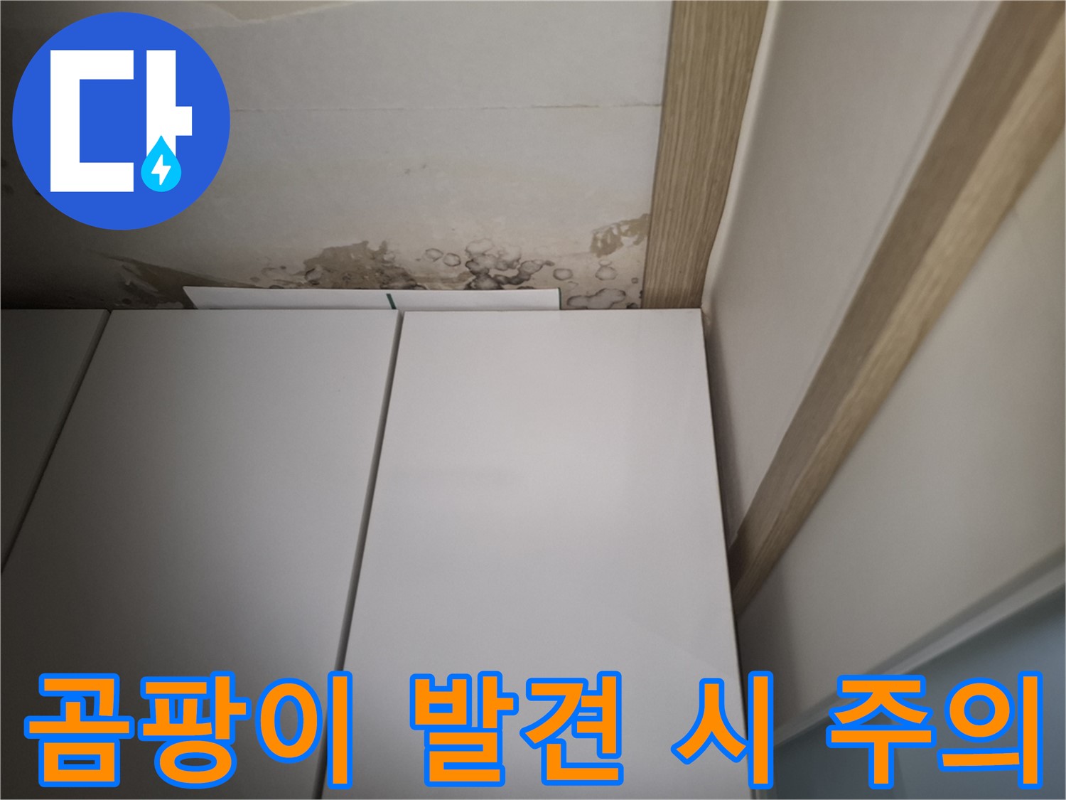 장 뒤 천장에서 곰팡이가 발견된 모습 - 누수를 의심해야 합니다.