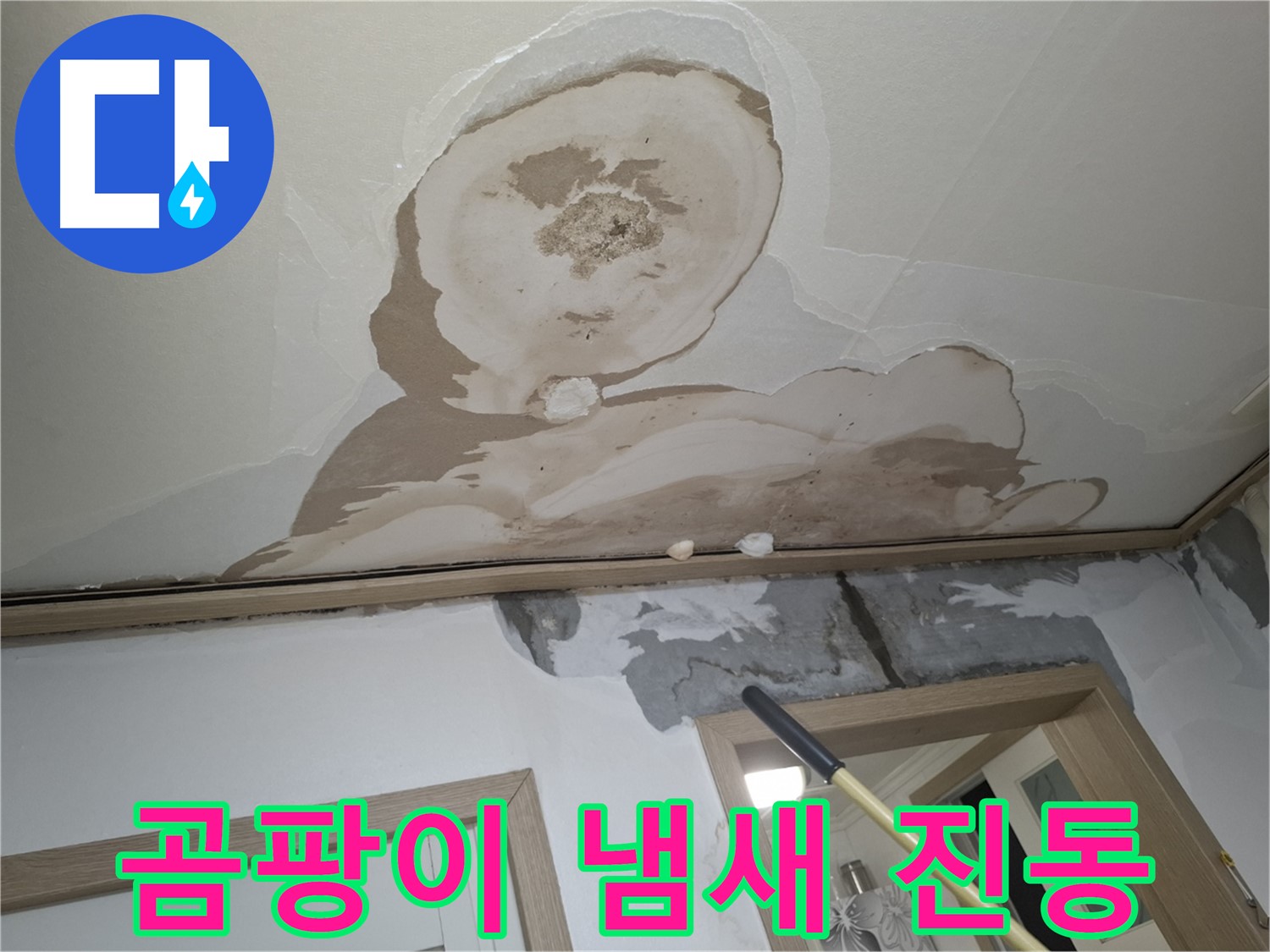 천장에서 곰팡이 냄새가 진동, 건강에 적신호가 켜졌습니다.