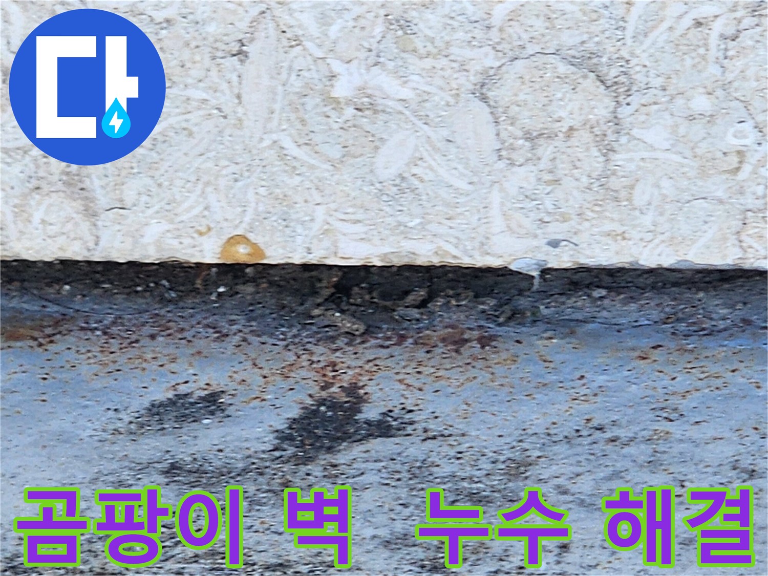 구천면로 누수공사 - 곰팡이 핀 벽, 누수 문제 확실하게 해결