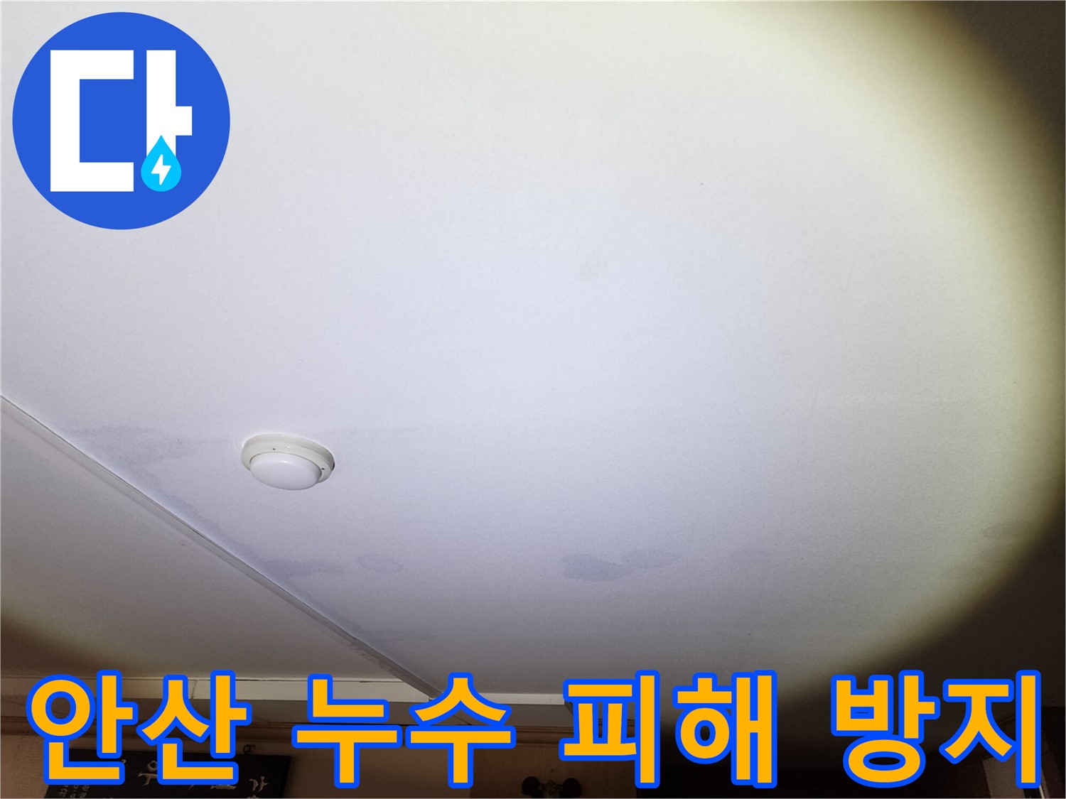 곰팡이가 발생하기 시작한 천장 벽지 - 누수 피해 확산 방지를 위한 신속한 누수 원인 해결 필요