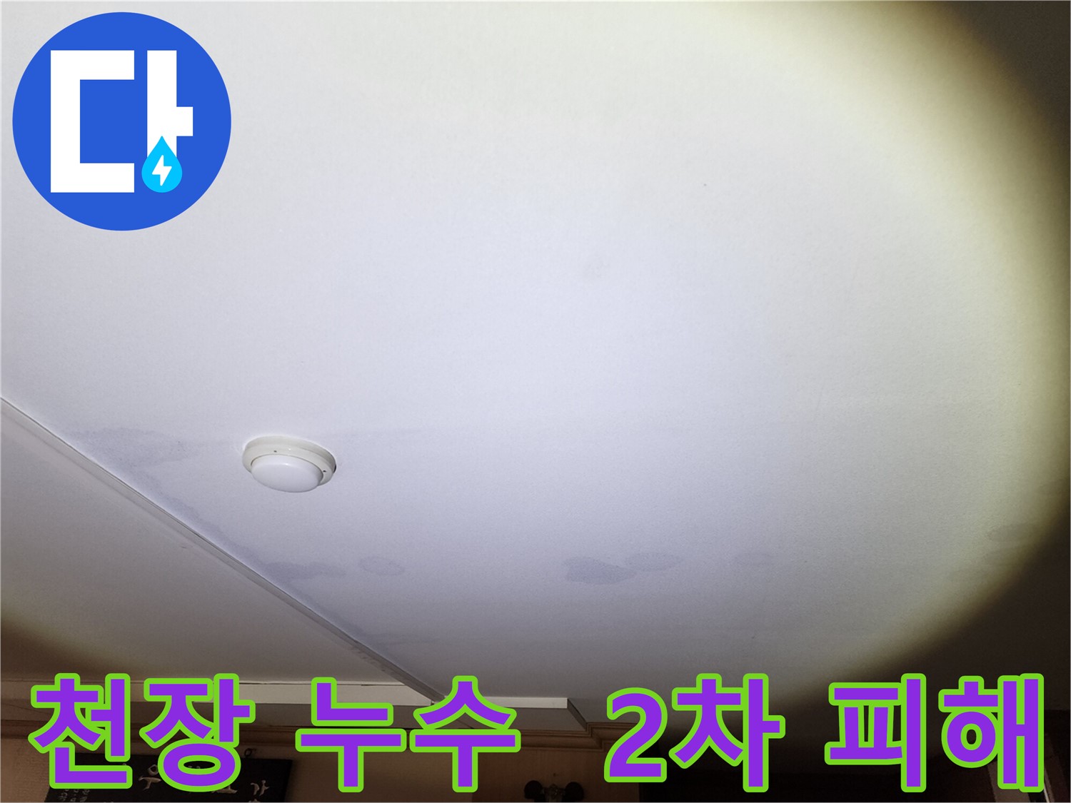 처진 천장 벽지와 뚜렷한 누수 흔적이 보이는 안산 아파트 누수 현장 - 2차 피해 및 곰팡이, 전기 합선 위험