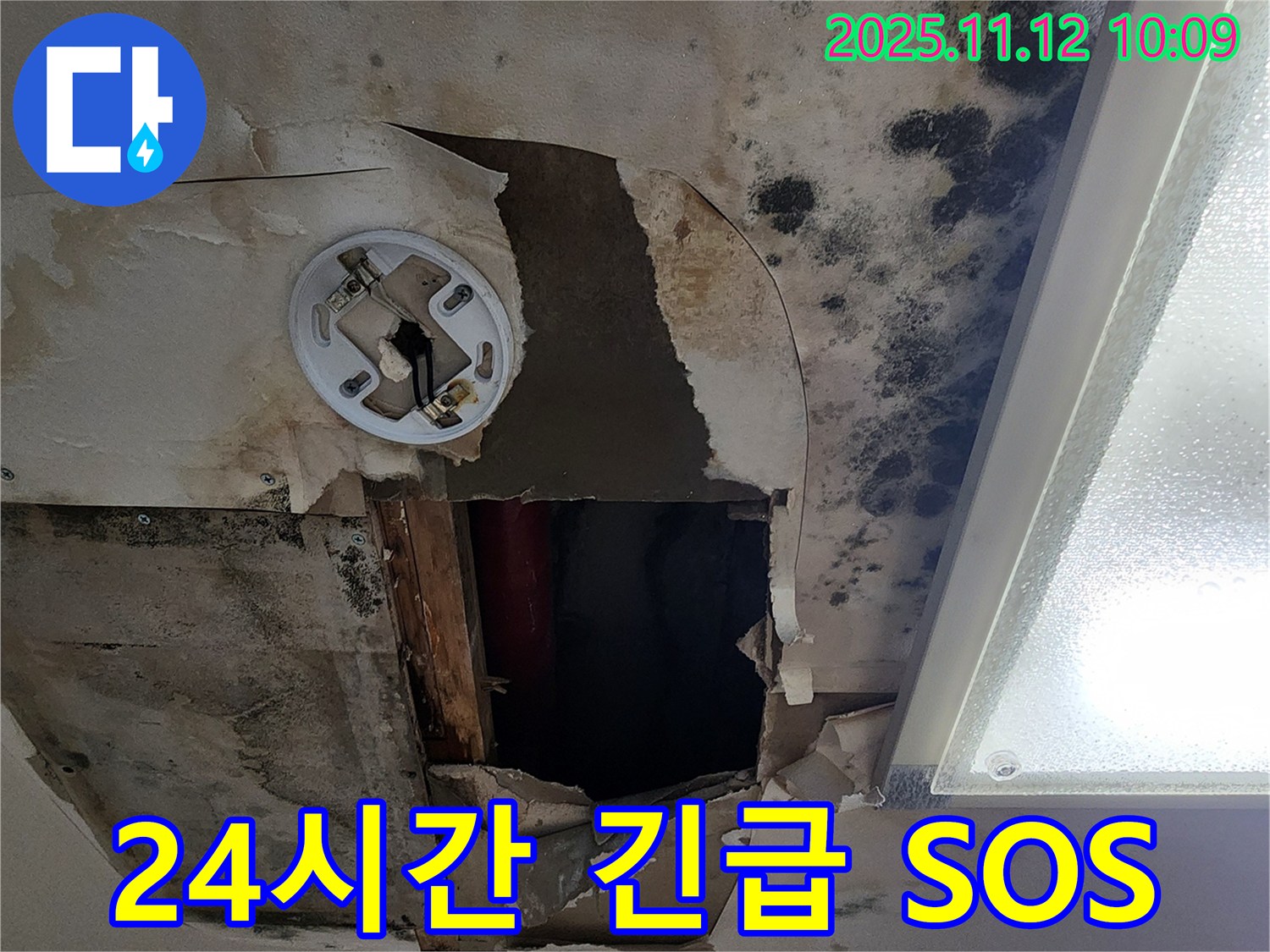 24시간 긴급 누수 - 곰팡이 핀 천장, 빠른 방문으로 곰팡이 공포 해결