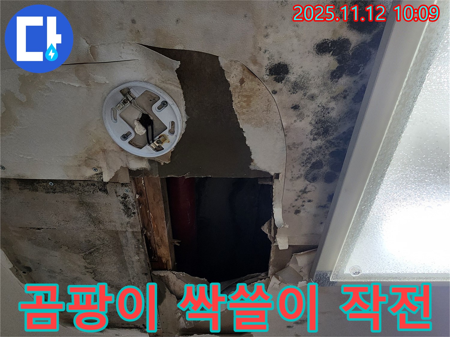 곰팡이 제거 시공 - 친환경 약품으로 곰팡이 완전 제거 및 재발 방지