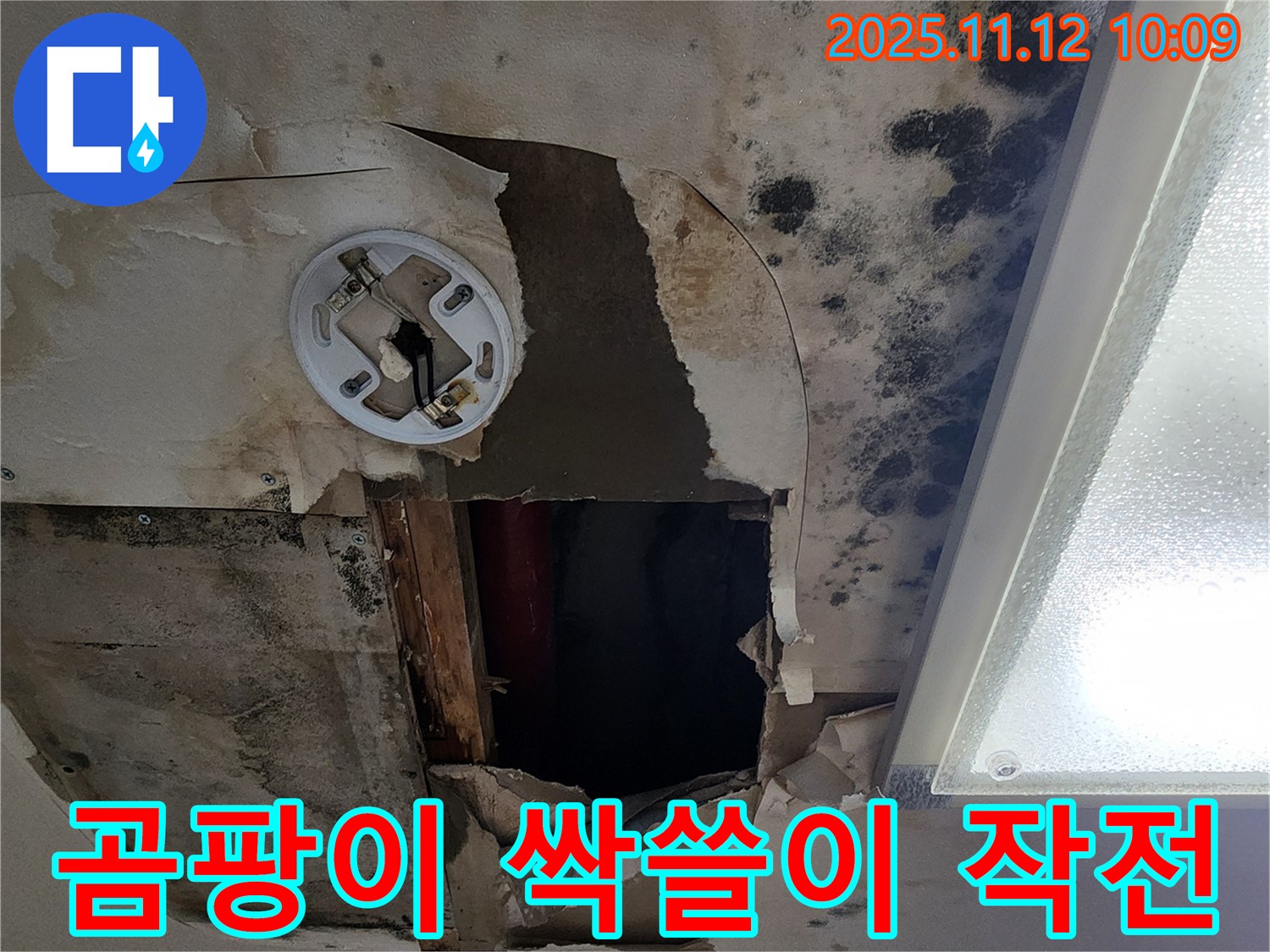 곰팡이 제거 시공 - 친환경 약품으로 곰팡이 완전 제거 및 재발 방지