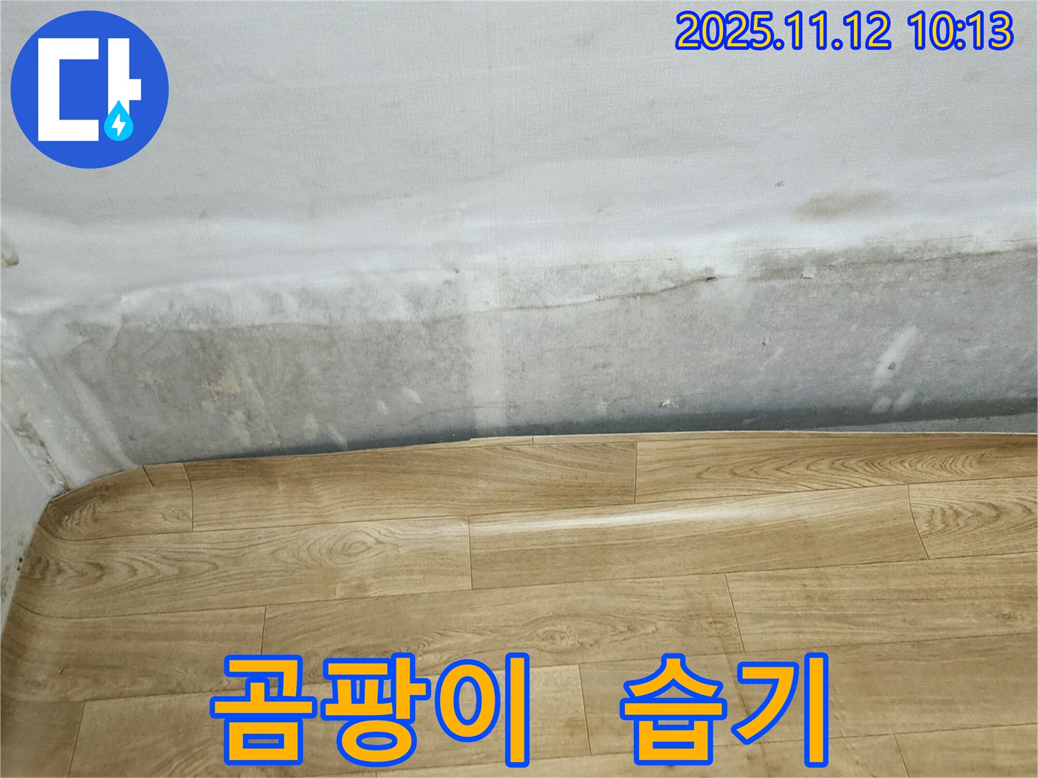 무봉리 누수 현장 - 곰팡이와 습기로 가득한 벽과 들뜬 장판, 누수 전문가와 상담하세요.