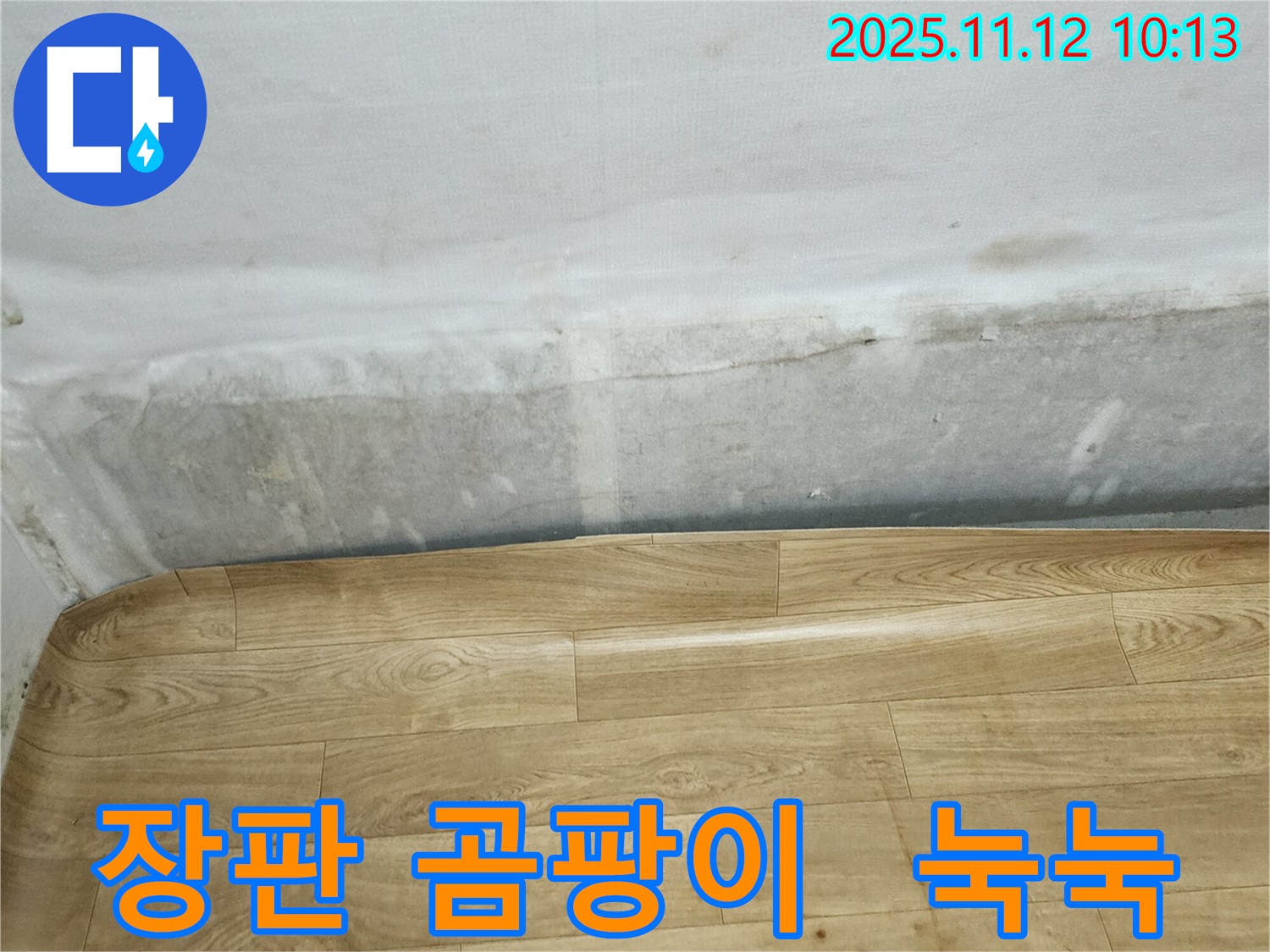 무봉리 누수 현장 - 벽 하단 장판 밑 곰팡이와 눅눅한 벽은 누수 신호일 수 있습니다 - 전문가의 정확한 진단이 필요합니다.