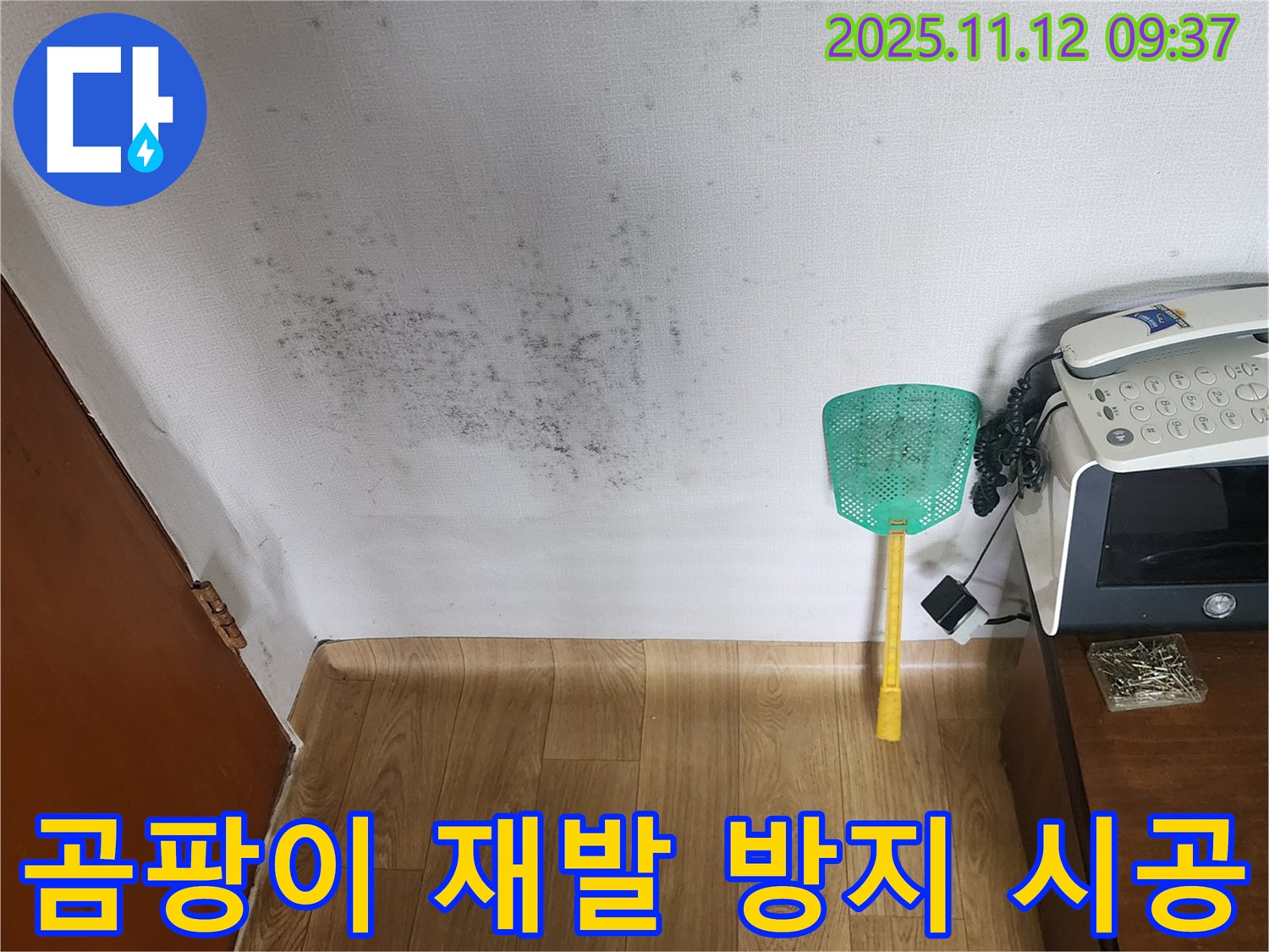 벽 곰팡이 - 누수 원인 해결 후 곰팡이 재발 방지 시공까지 꼼꼼하게 - 포천 누수탐지