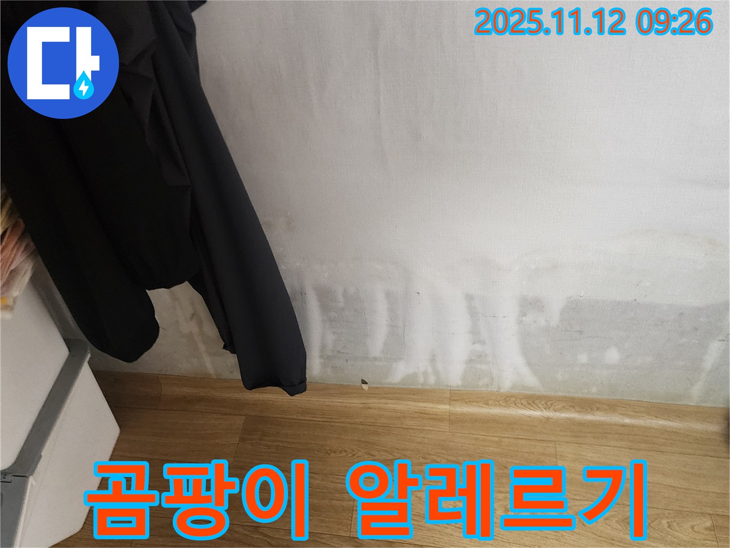소흘읍 누수 - 곰팡이 알레르기 - 재채기, 콧물, 눈 가려움!