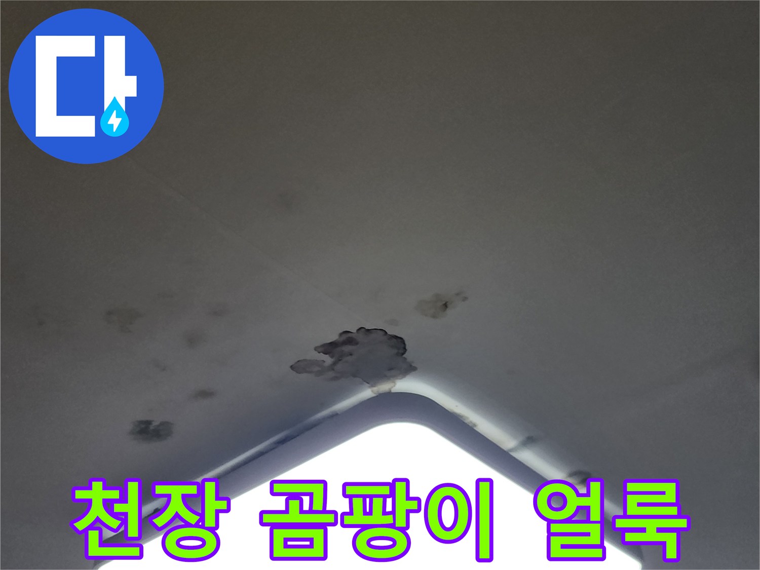 조명 주변 천장 벽지의 젖은 흔적과 곰팡이 발생 부위