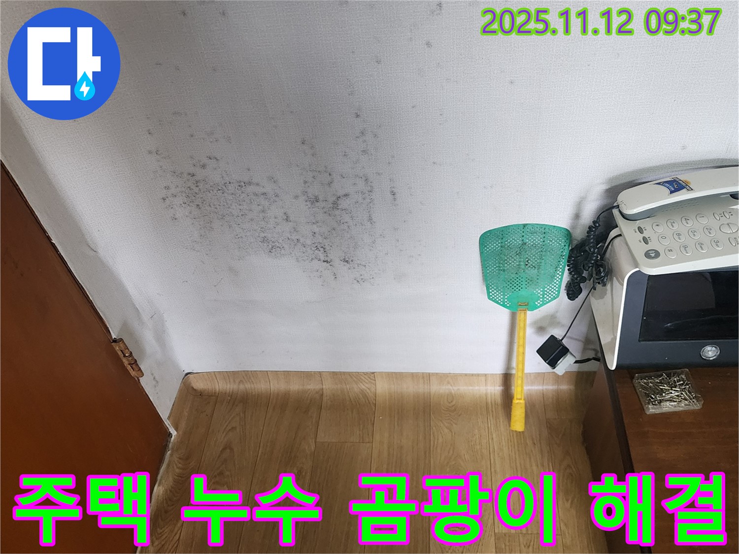 주택 벽에 핀 곰팡이 - 누수탐지를 통해 곰팡이 문제를 해결하고 안심하고 생활하세요.