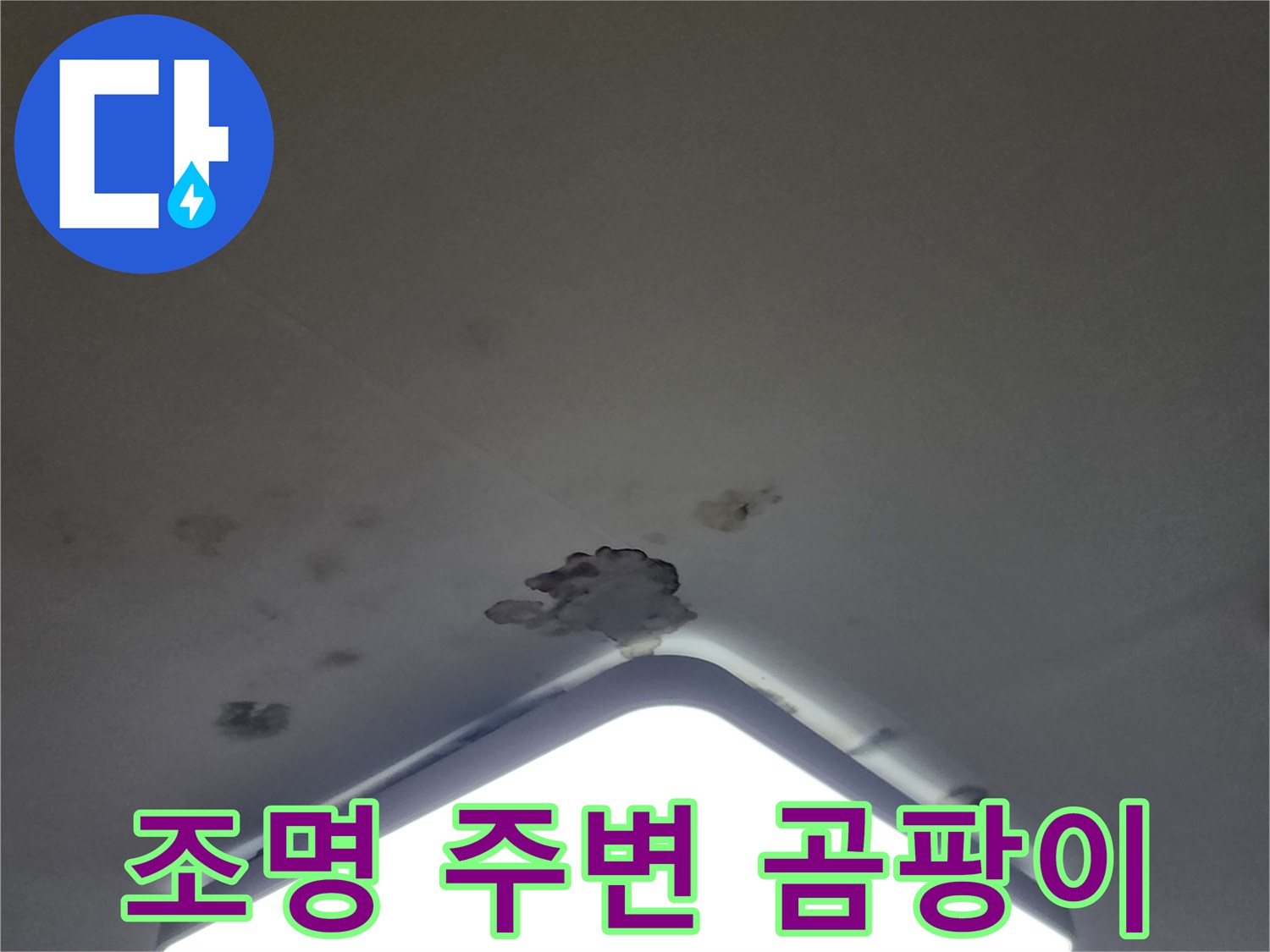 천장 LED 조명 근처의 젖은 얼룩과 곰팡이 발생 부위
